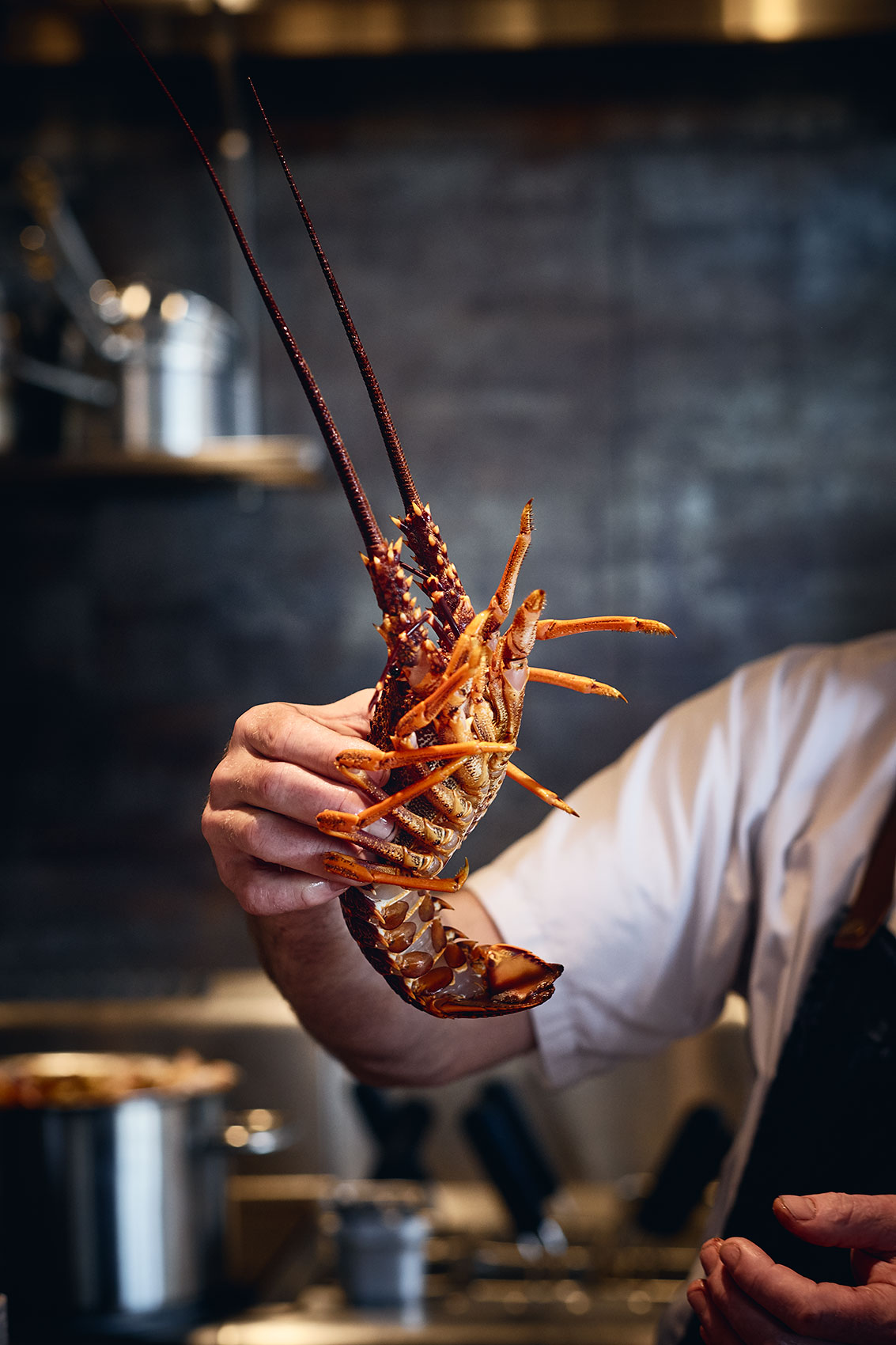 Ahi Fresh New Zealand Crayfish • Hospitality & Culinary Food Photography
