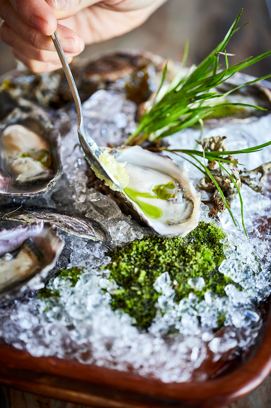 Ahi Fresh New Zealand Oysters on Crushed Ice • Hospitality & Culinary Food Photography