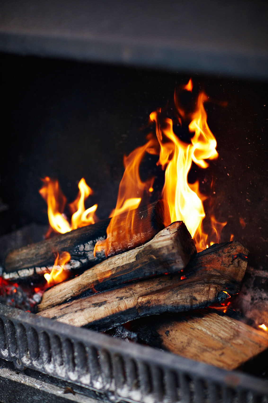 Free Range in the City • Outdoor Wood Fireplace in New Zealand City Home • Cookbook & Lifestyle Food Photography