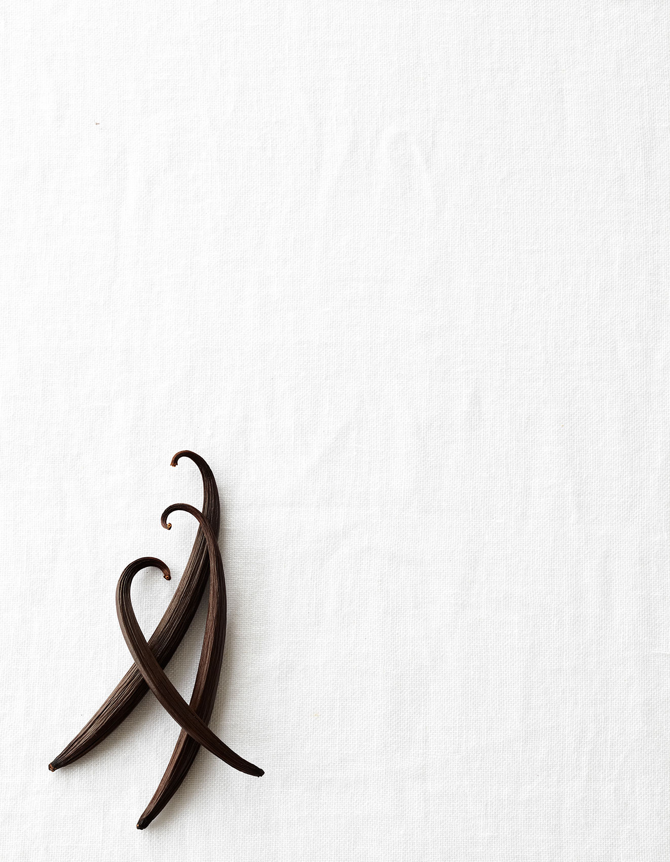 Vanilla Table • Dried Black Vanilla Pods on Textured White Tablecloth • Cookbook & EditorialVanilla Table • Dancing Chef Smoked Trout with Sprouts & Red Onions • Cookbook & Editorial Food Photography