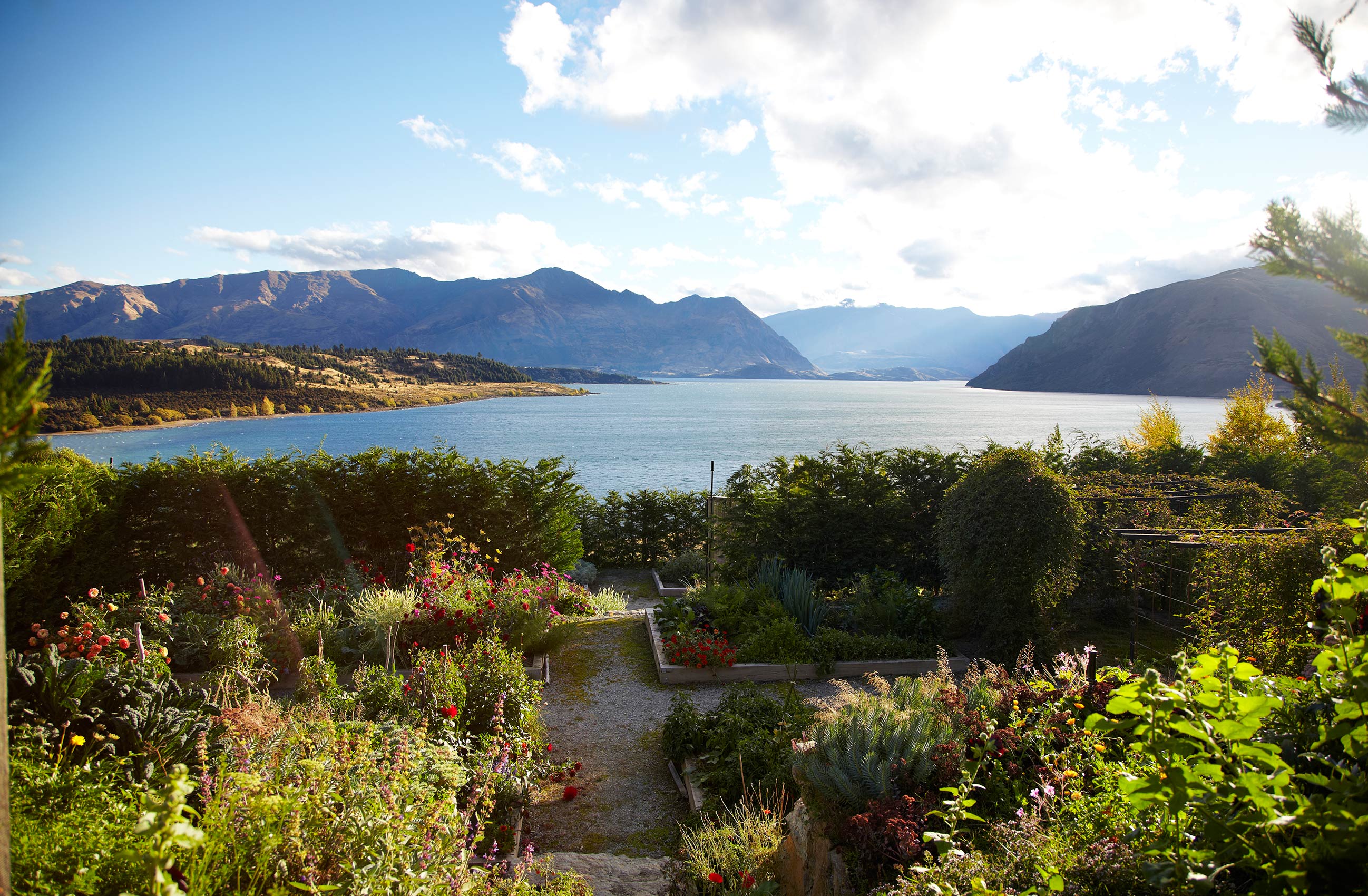 Sunny Lakeside New Zealand Garden • Lifestyle & Documentary Photography