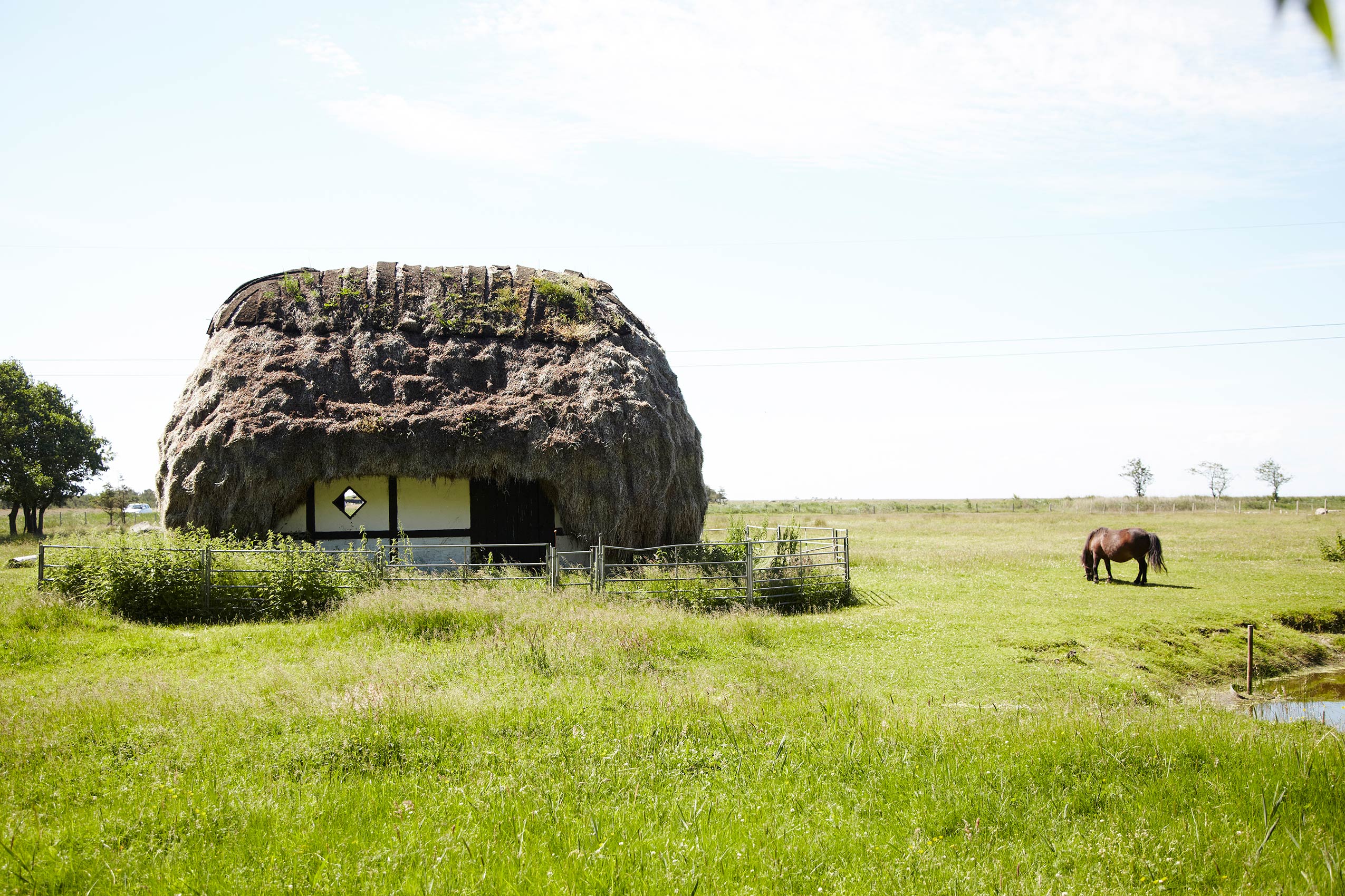 Laesoe Salt • Natural Thatched Roof Danish Hut in Meadow • Advertising & Lifestyle Food Photography