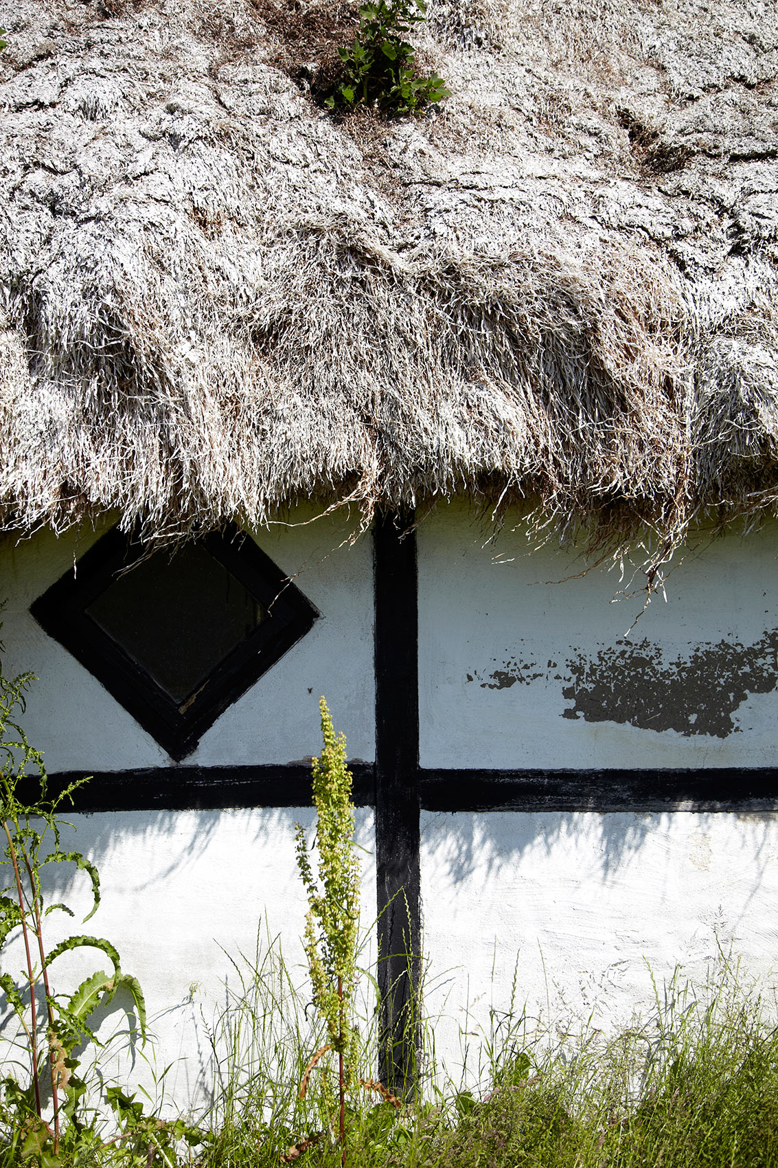 Laesoe Salt • Thatched Roof Danish House with White Cladding • Advertising & Lifestyle Food Photography