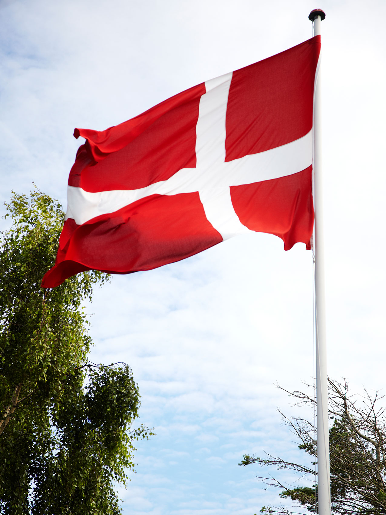 Laesoe Salt • Danish Flag Flying Against Cloudy Blue Sky • Advertising & Lifestyle Food Photography