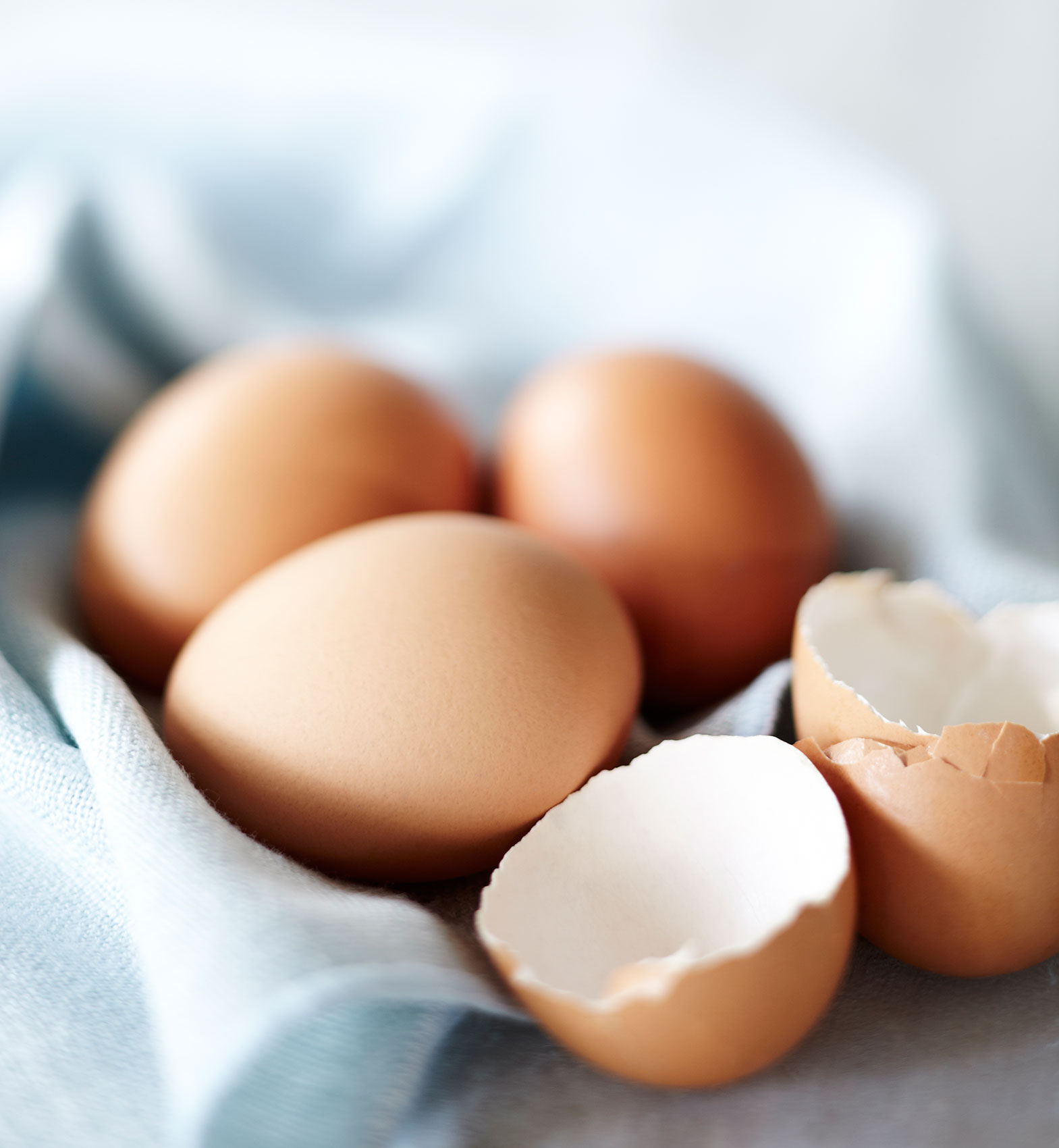Everyday • Half Dozen Fresh Brown Eggs on Tea Towel in Kitchen • Hospitality & Editorial Food Photography