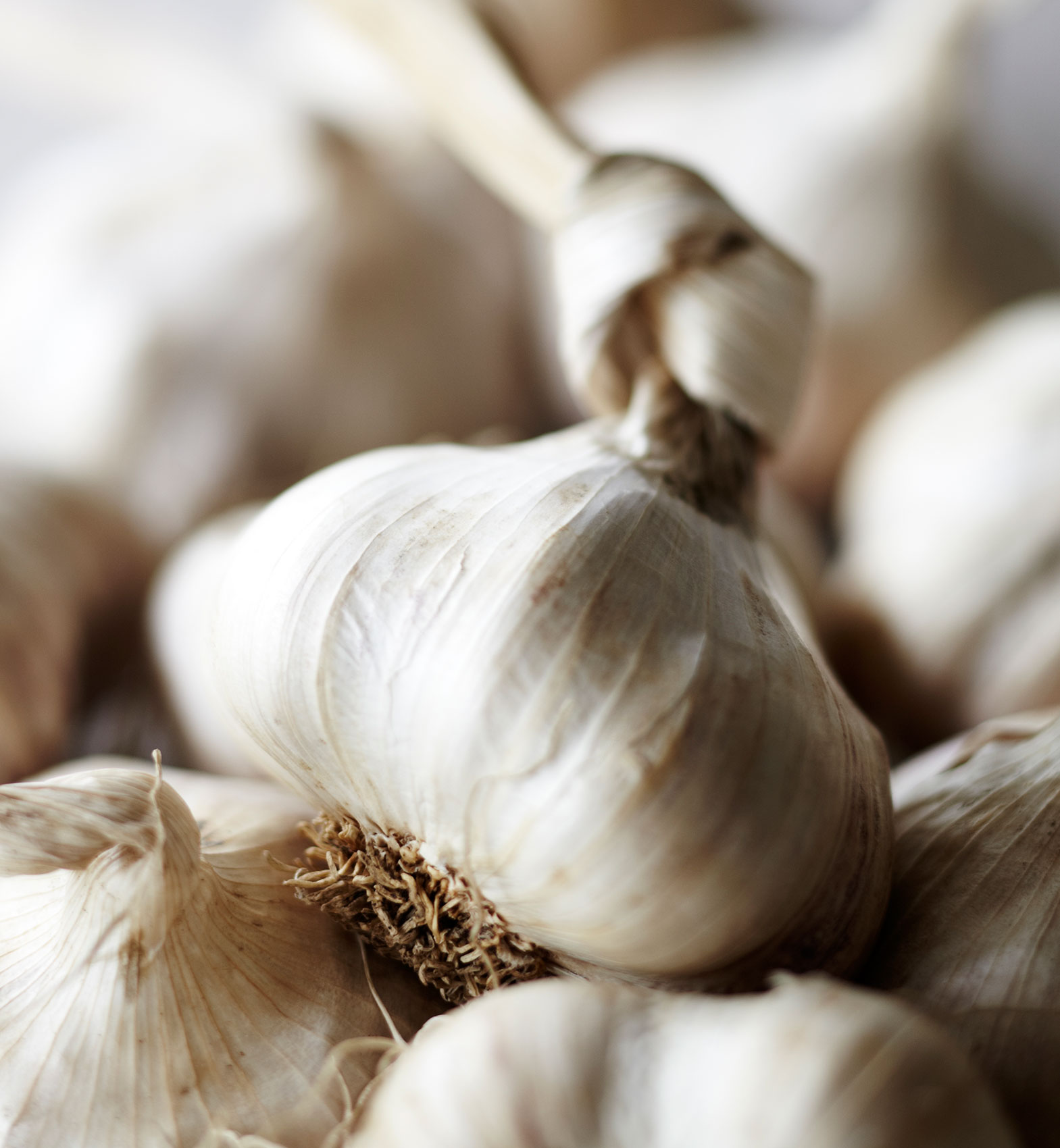 Everyday • Close-Up of Stacked & Tied Fresh Garlic Cloves • Hospitality & Editorial Food Photography