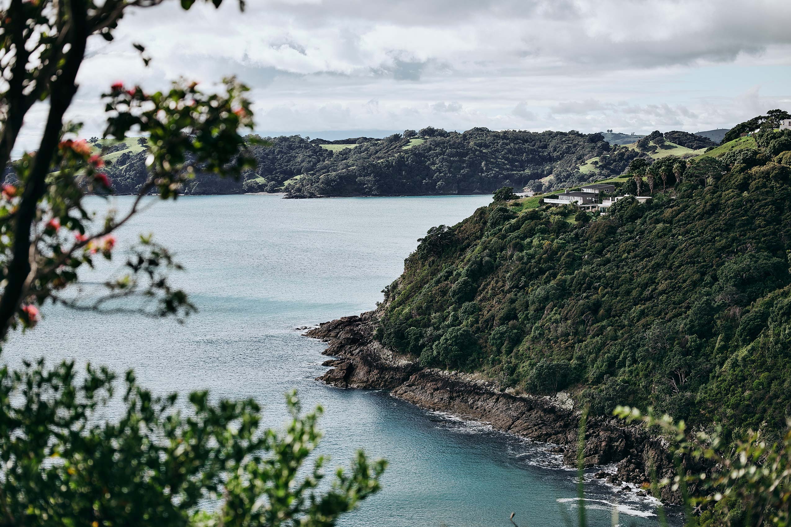 Shared Kitchen • Bays & Coastal Banks of Waiheke Island, New Zealand  • Lifestyle & Editorial Food Photography