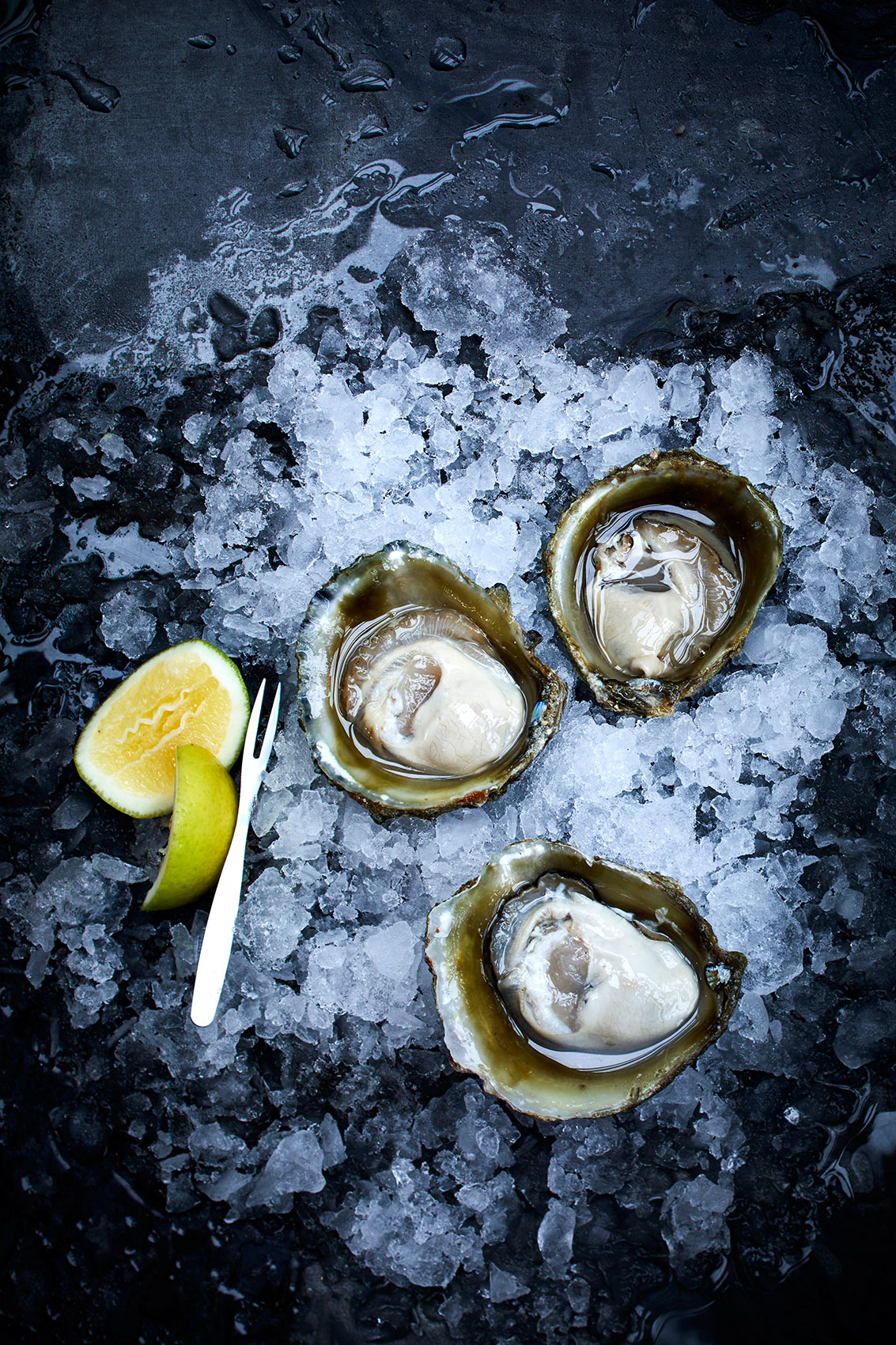 New Zealand Oysters on Salt with Fresh Lemon • Advertising & Editorial Food Photography