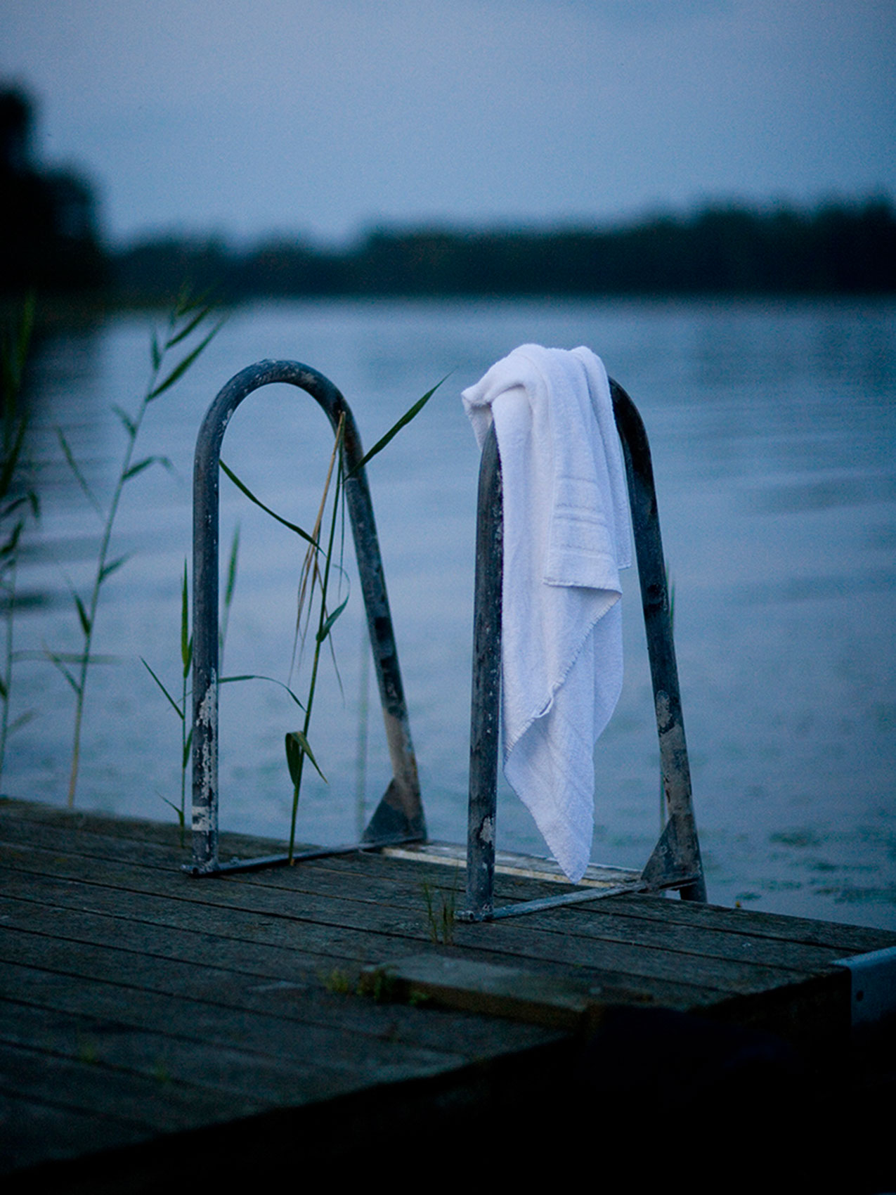 Skaane Lake Swimming • Advertising & Editorial Food Photography