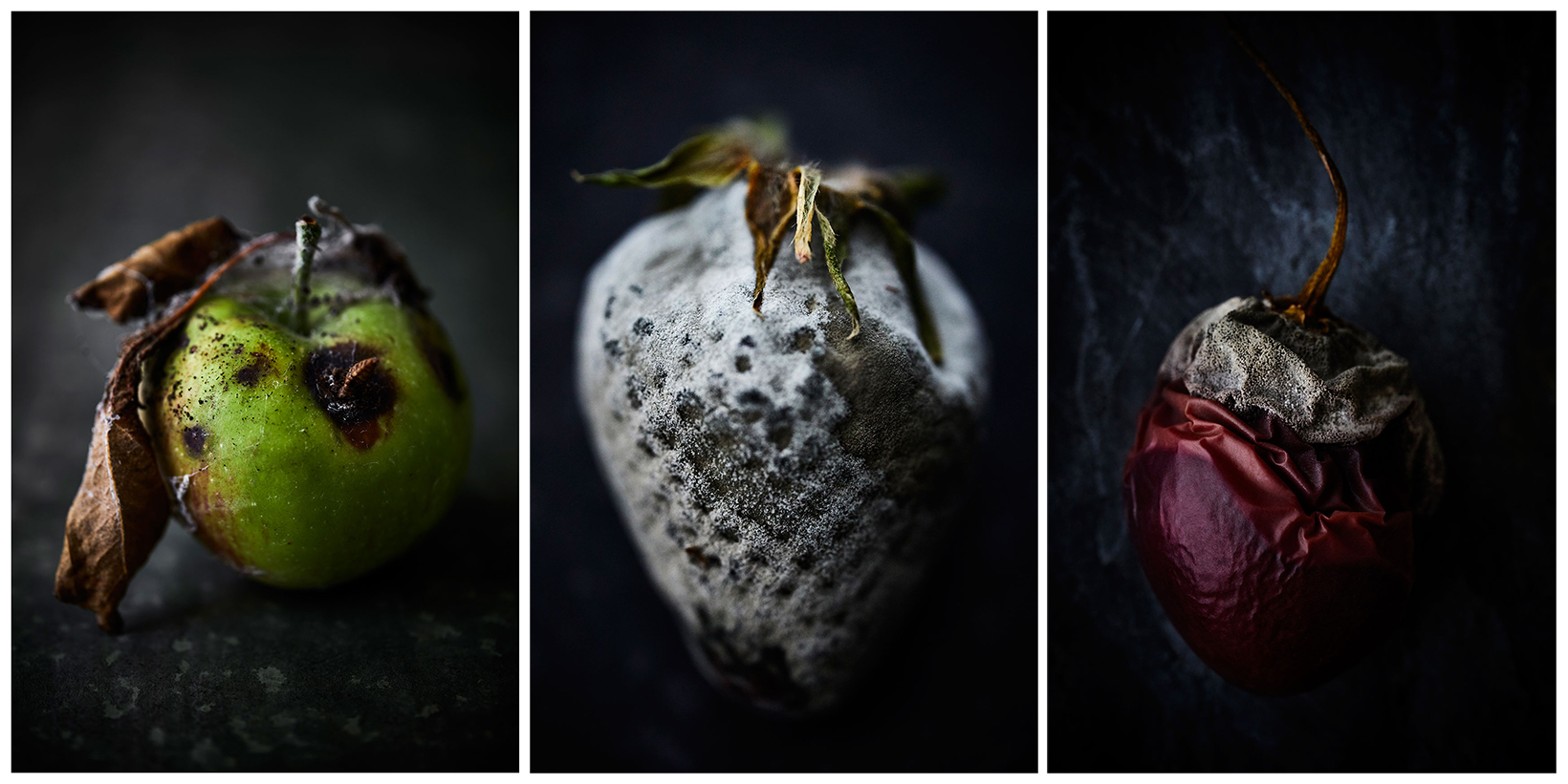 Beautiful Decay・PX3 Silver Award・Fine Art & Advertising Food Photography