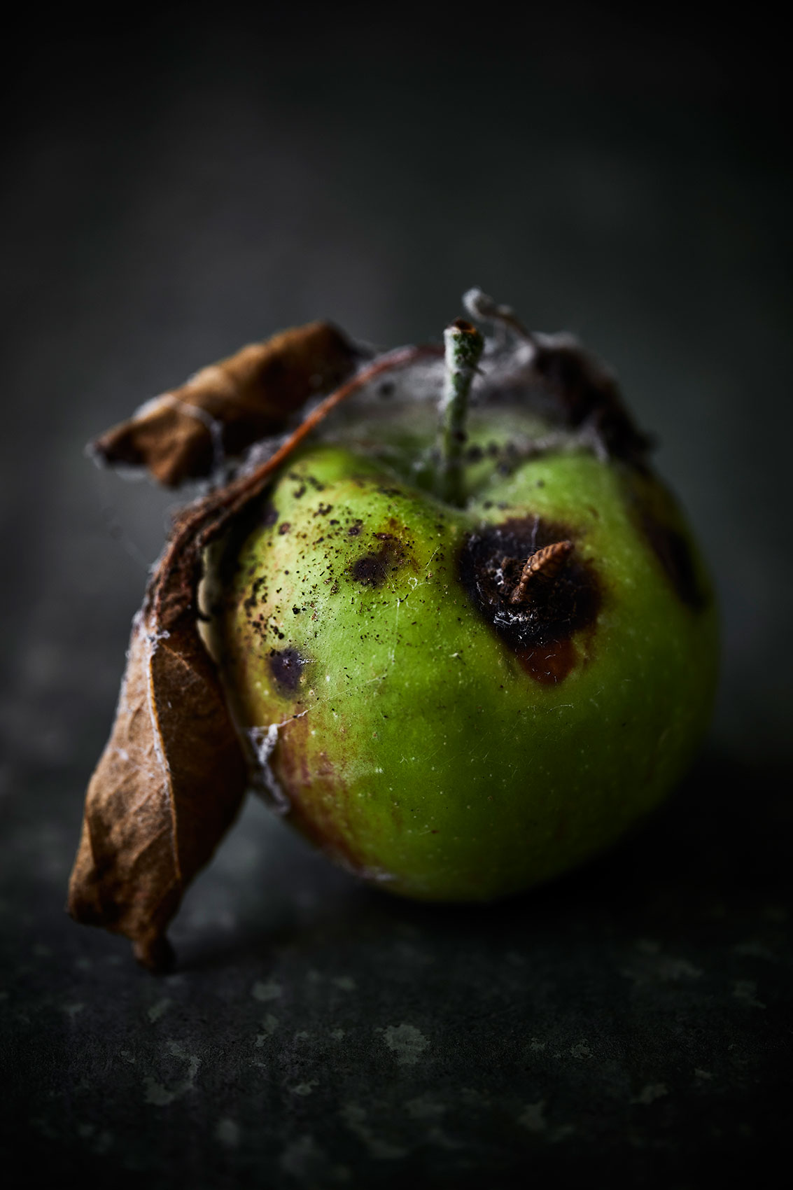 Beautiful Decay •  Decomposing Green Apple • Advertising & Editorial Food Photography