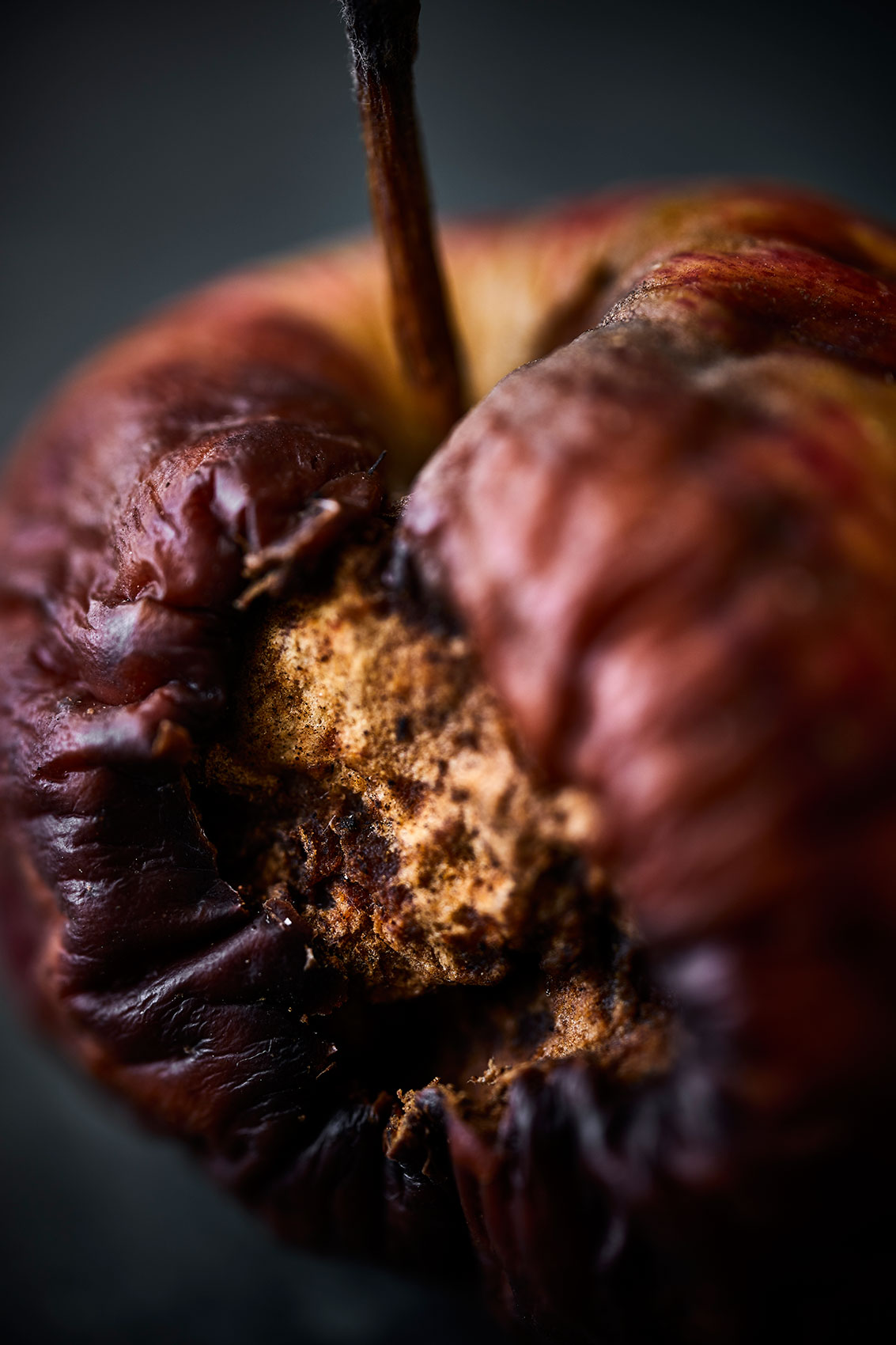 Beautiful Decay • Bruised & Rotting Apple • Fine Art & Advertising Food Photography
