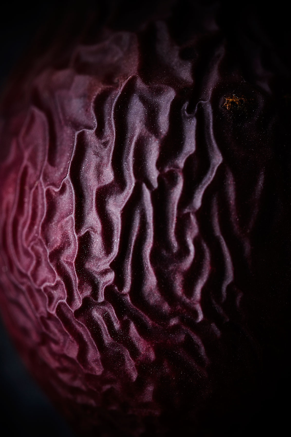 Beautiful Decay • Deep Wrinkles on Rotten Tamarillo • Fine Art & Advertising Food Photography
