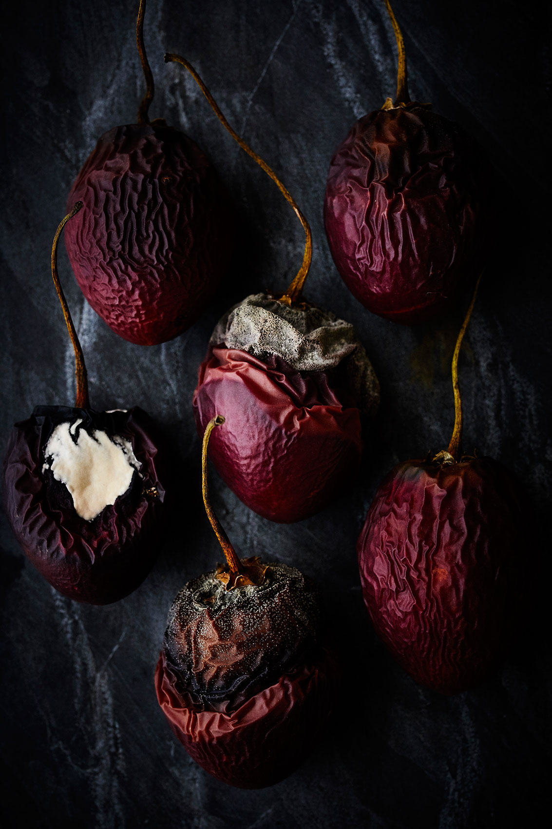 Beautiful Decay • Decomposing Fruit on Stone Bench • Fine Art & Advertising Food Photography