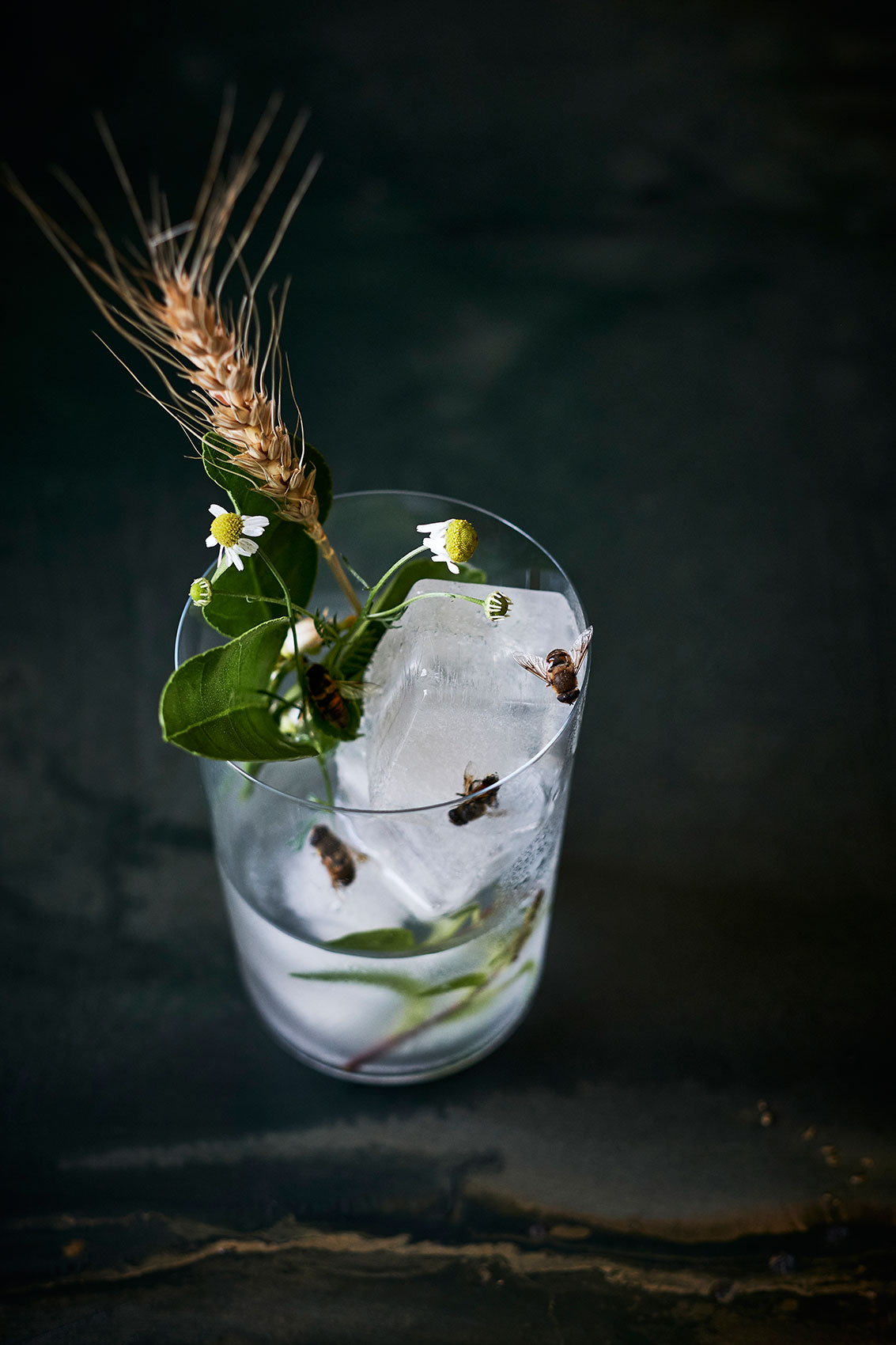 The Bug Project • Barley Water with Bees & Wild Daisies • Advertising & Fine Art