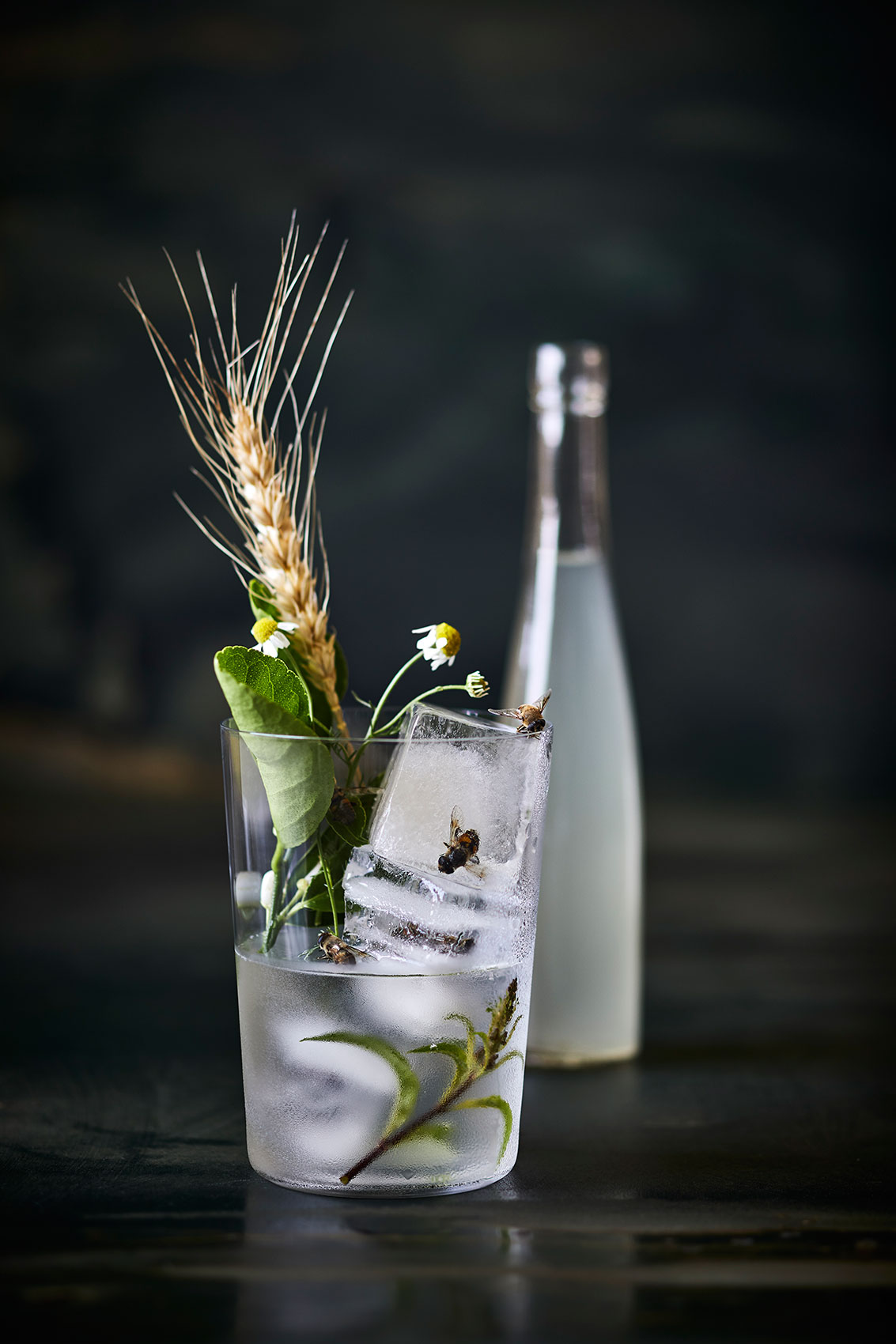 The Bug Project • Iced Barley Water with Bees & Fresh Herbs • Advertising & Fine Art