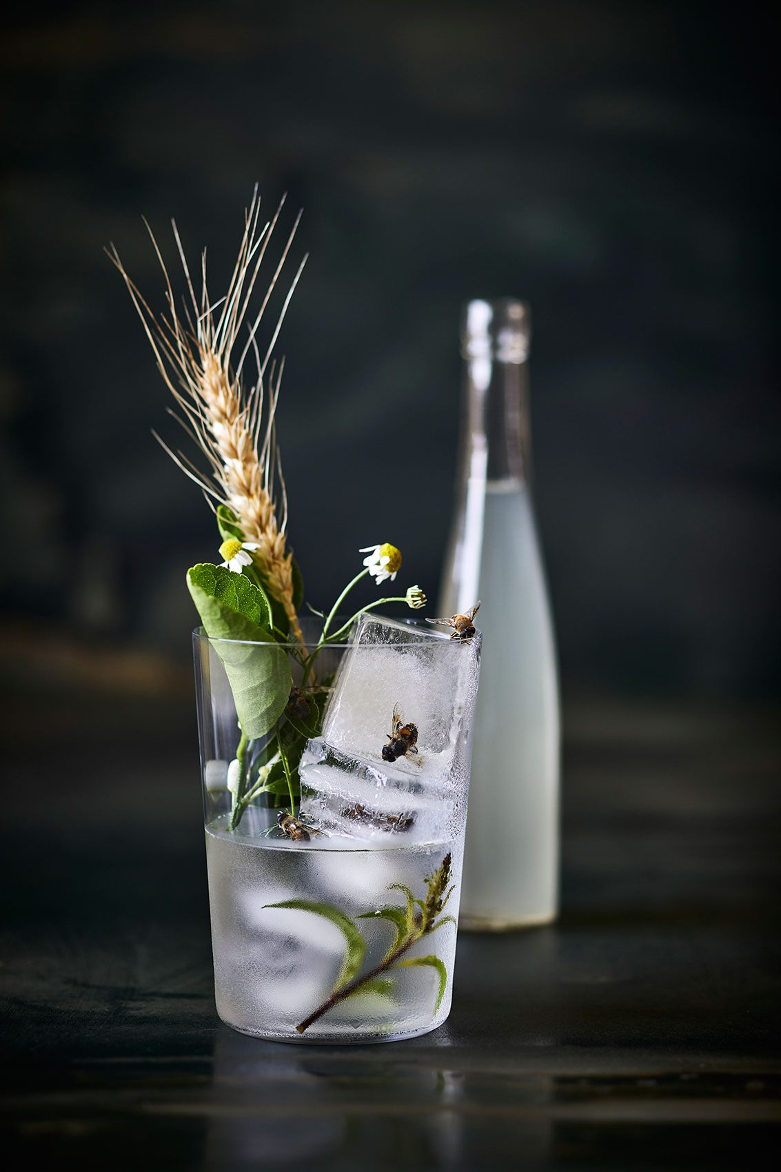 The Bug Project • Barley Water with Fresh Herbs in Thin Glass • Beverage & Liquid Photography