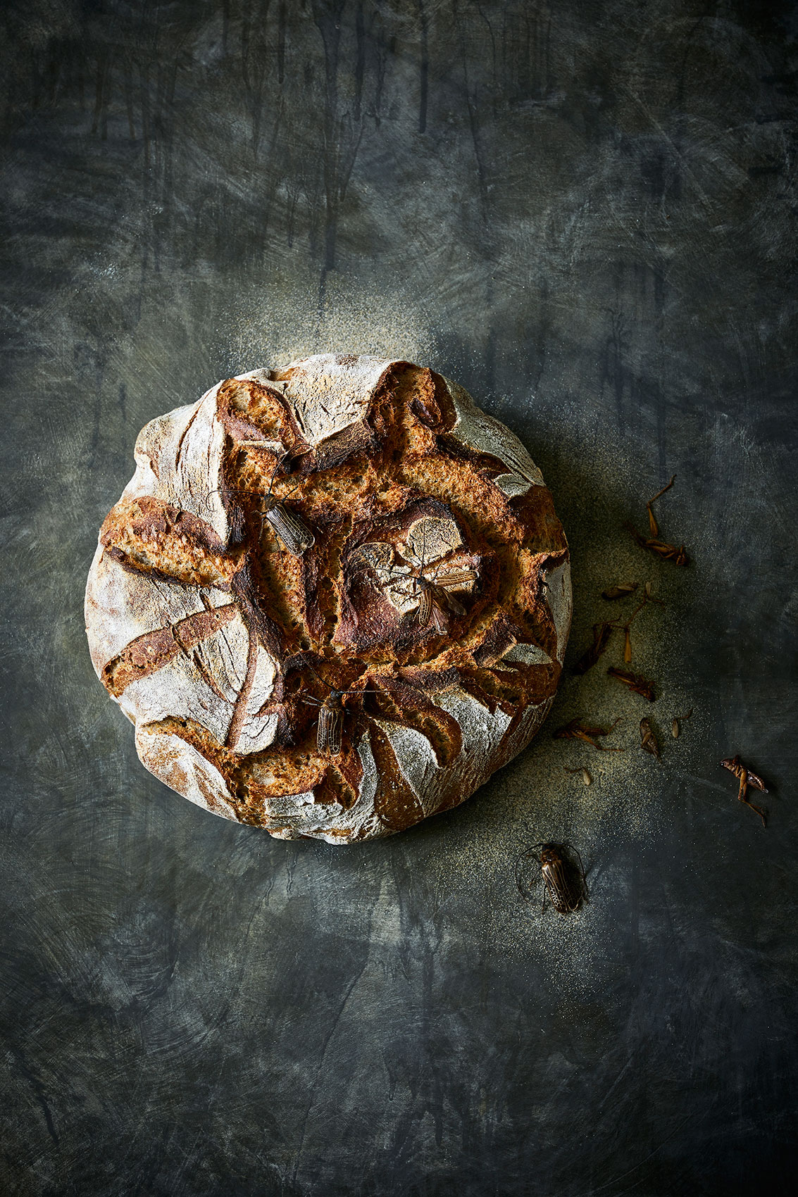 The Bug Project • Cricket Flour Sourdough on Textured Bench • Advertising & Editorial Food Photography