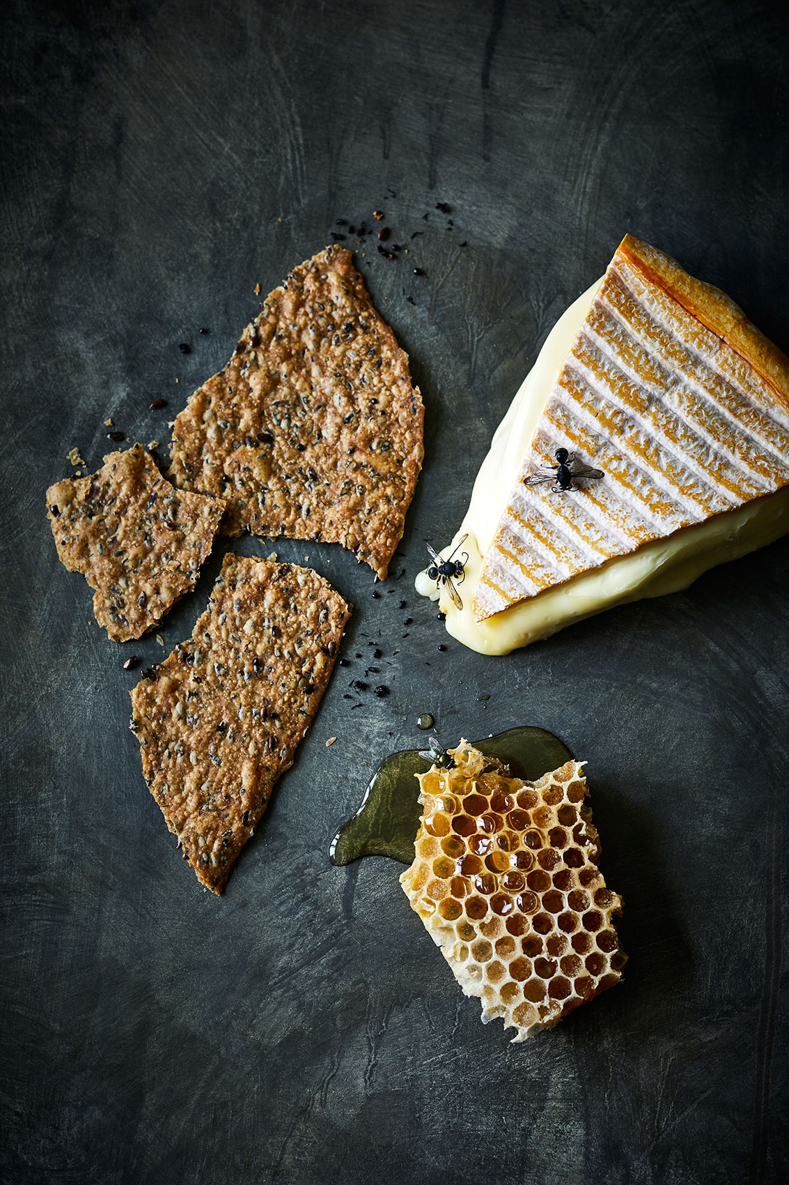 The Bug Project • Flaxseed Ant Crackers with Soft Cheese & Honeycomb • Advertising & Fine Art