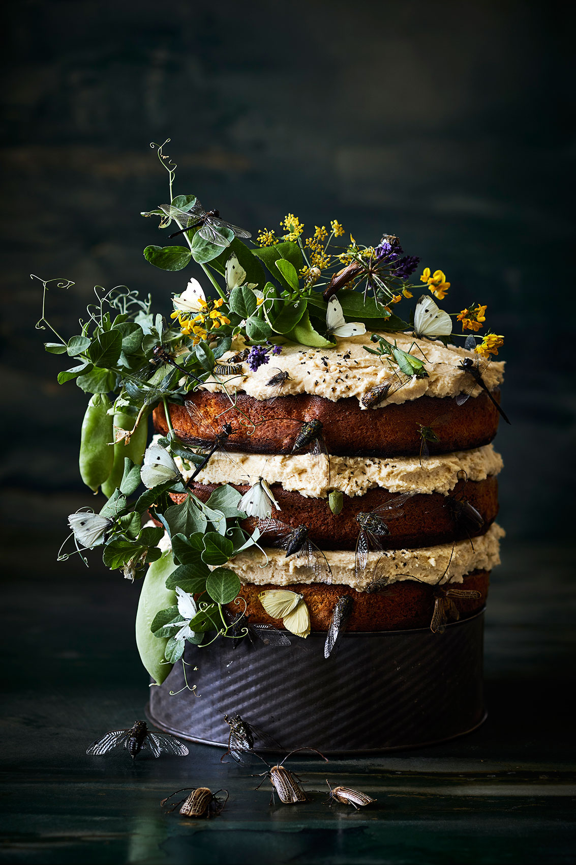 The Bug Project • Picnic Honey Cake with Wild Foliage • Advertising & Editorial Food Photography