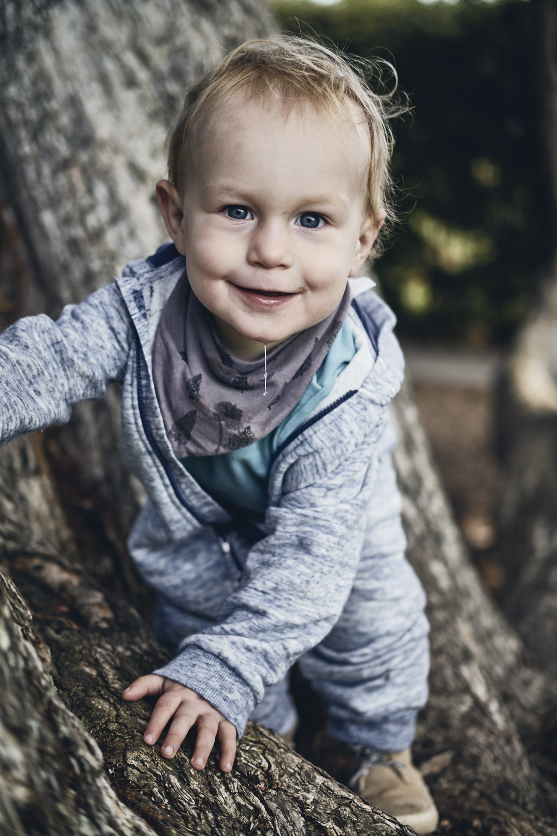 Lockdown • Toddler Climbing a Tree in Grey Tracksuit • Lifestyle & Portrait Photography