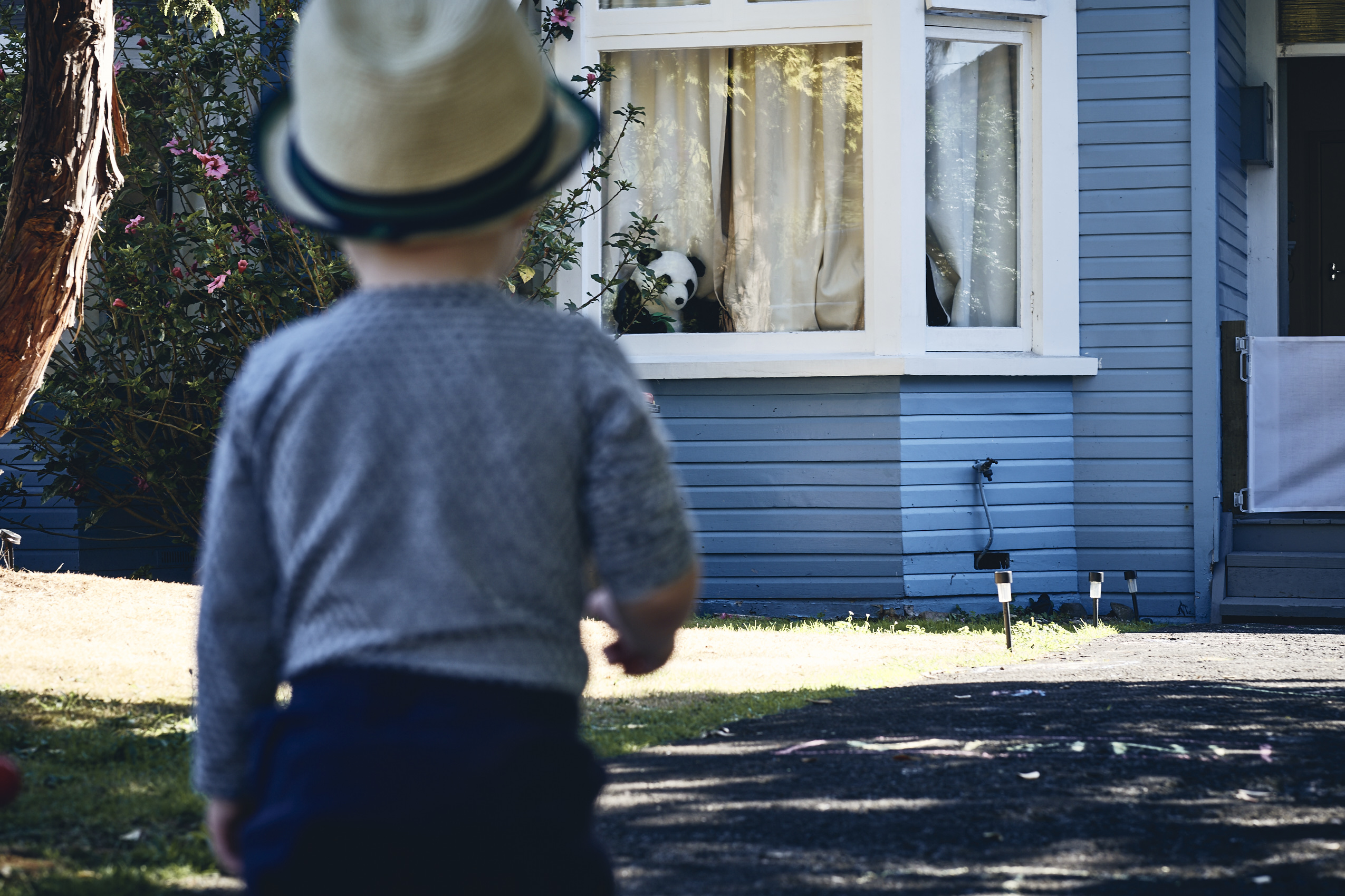 Lockdown • Toddler in Bowler Hat with Panda in the Window • Lifestyle & Portrait Photography