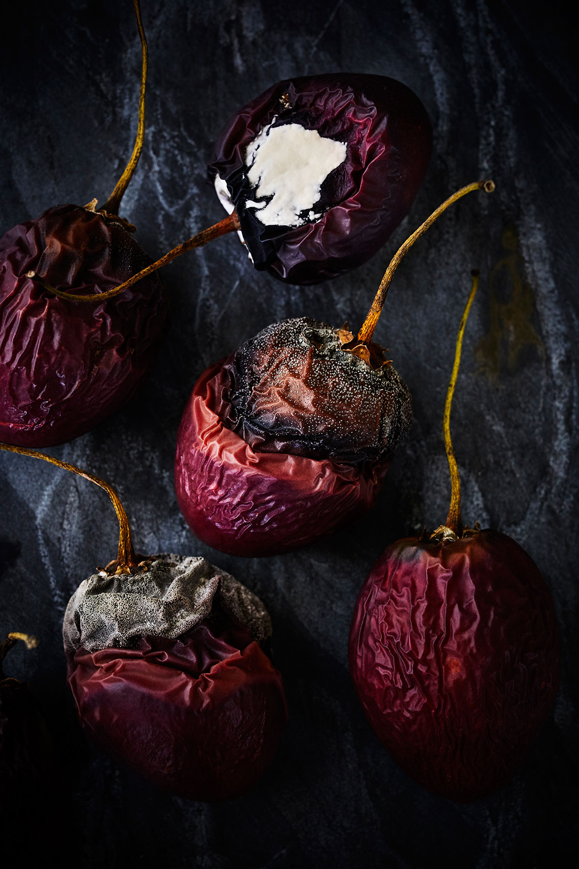 Beautiful Decay • Mouldy Tamarillos with Dry Stalks • Fine Art & Advertising Food Photography