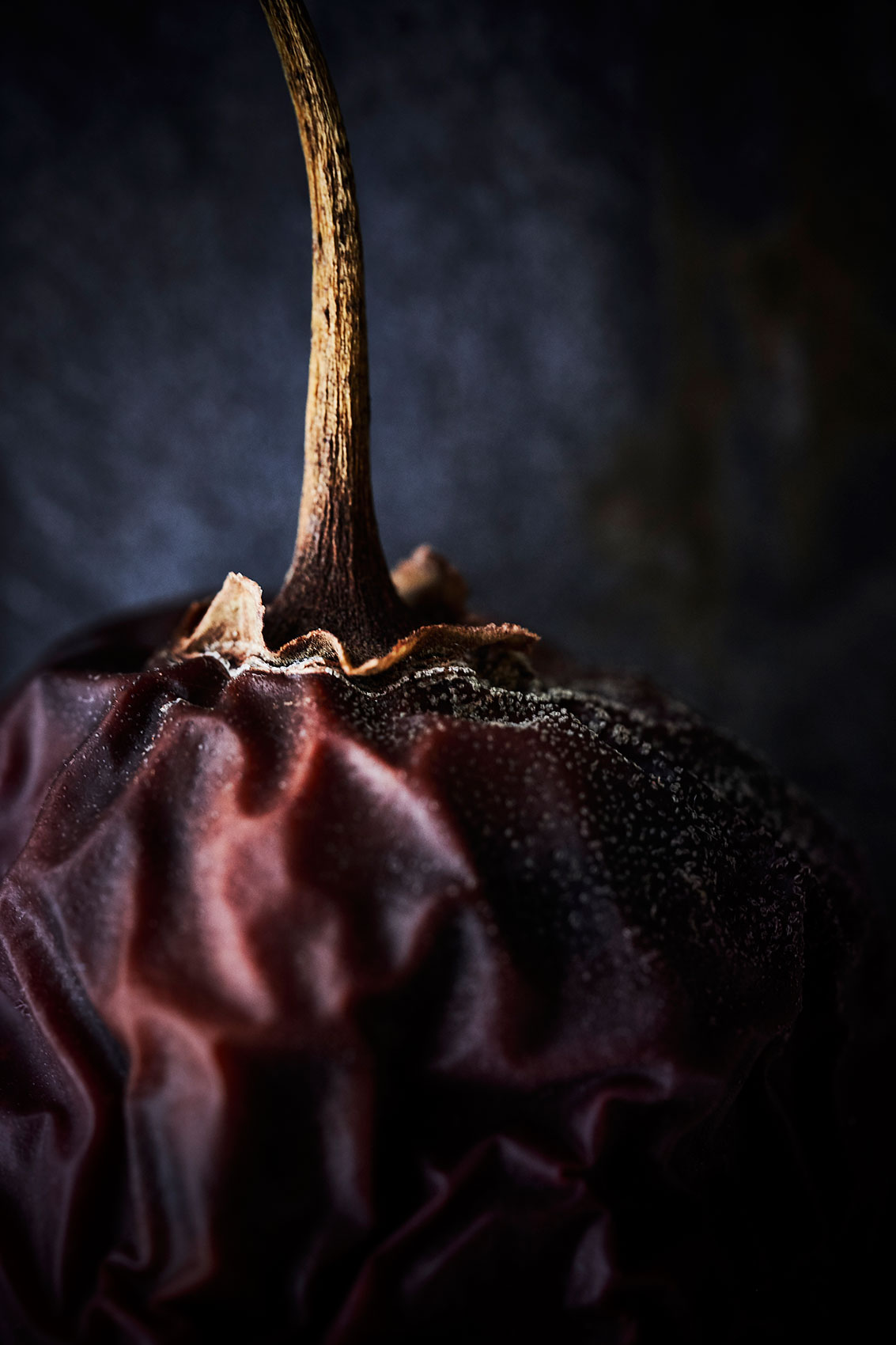 Beautiful Decay • Wrinkled Tamarillo Stalk • Fine Art & Advertising Food Photography