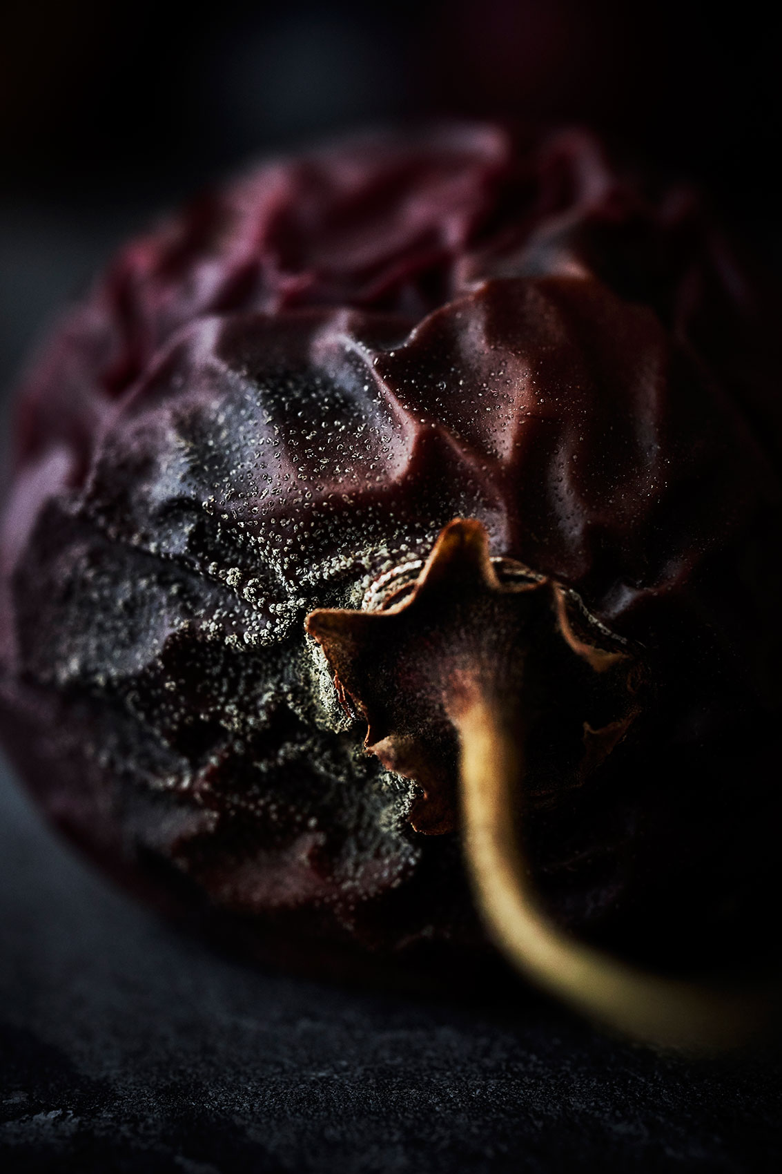 Beautiful Decay • Mould Growing on Tamarillo Skin • Fine Art & Advertising Food Photography