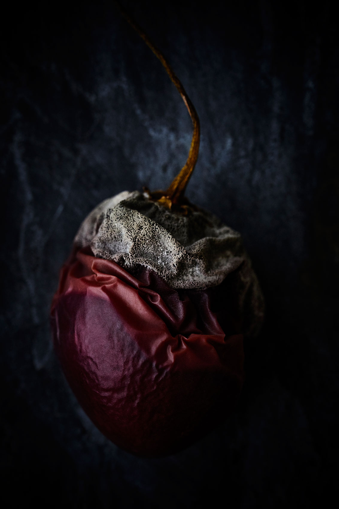Beautiful Decay • Mouldy Decomposing Tamarillo • Fine Art & Advertising Food Photography