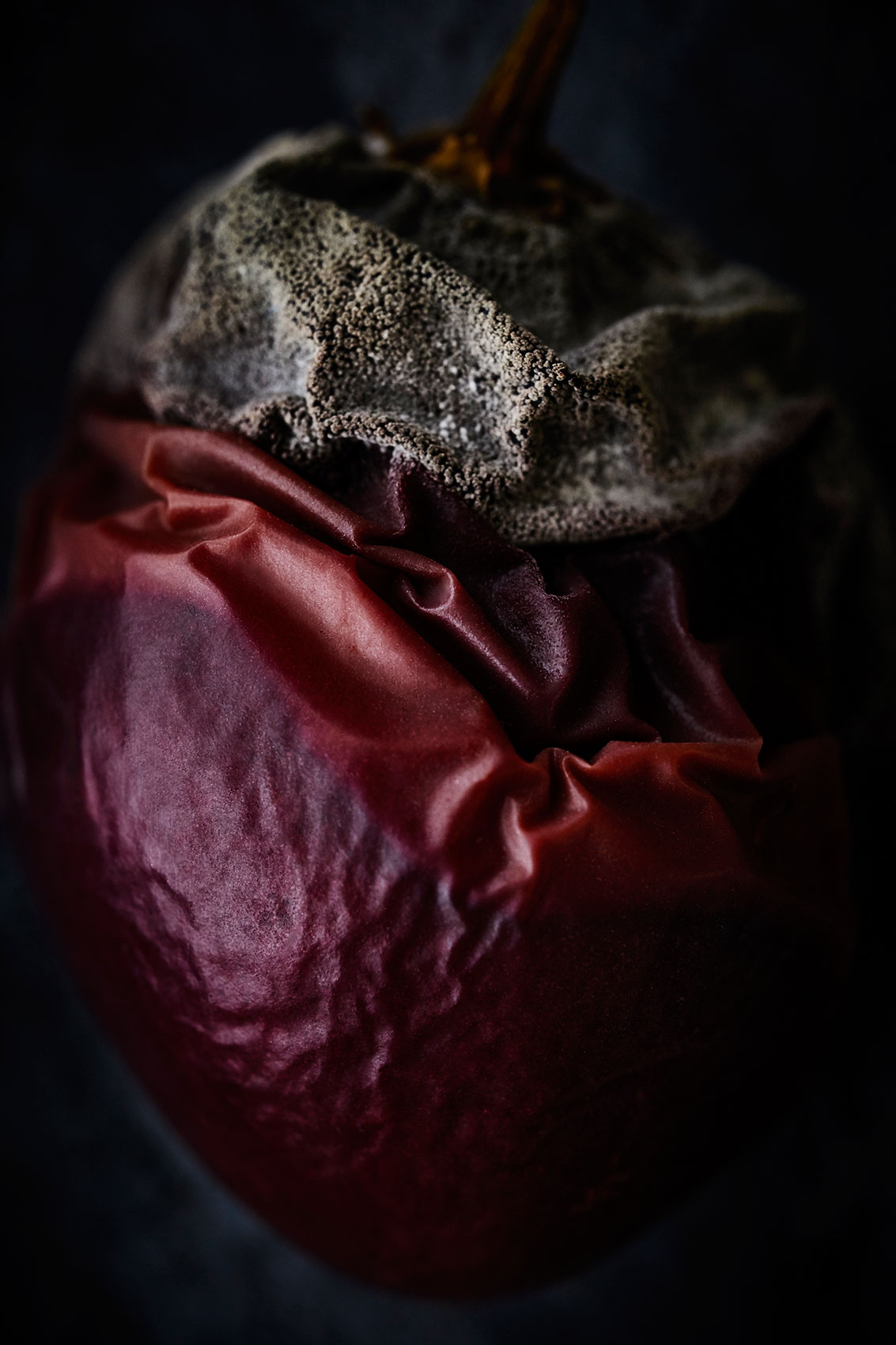 Beautiful Decay • Mould Growing on Wrinkled Tamarillo • Fine Art & Advertising Food Photography