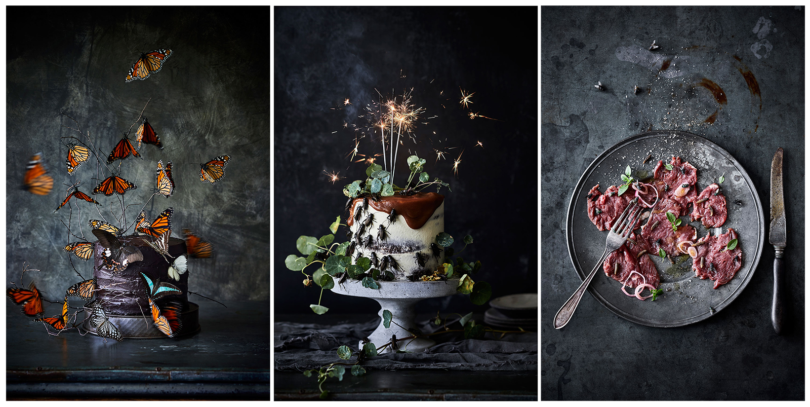Bug Project 2.0 Cricket Cake・PX3 Award・Advertising & Fine Art Food Photography