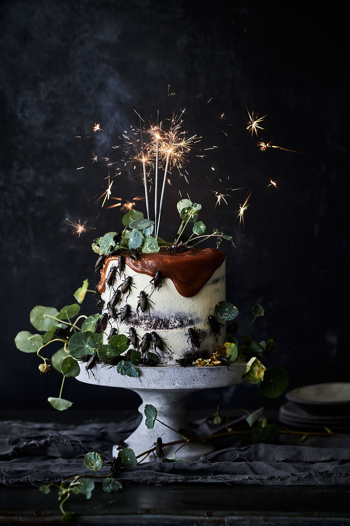 The Bug Project 2.0 • Cricket Cake with Sparklers & Chocolate Icing • Advertising & Fine Art Food Photography