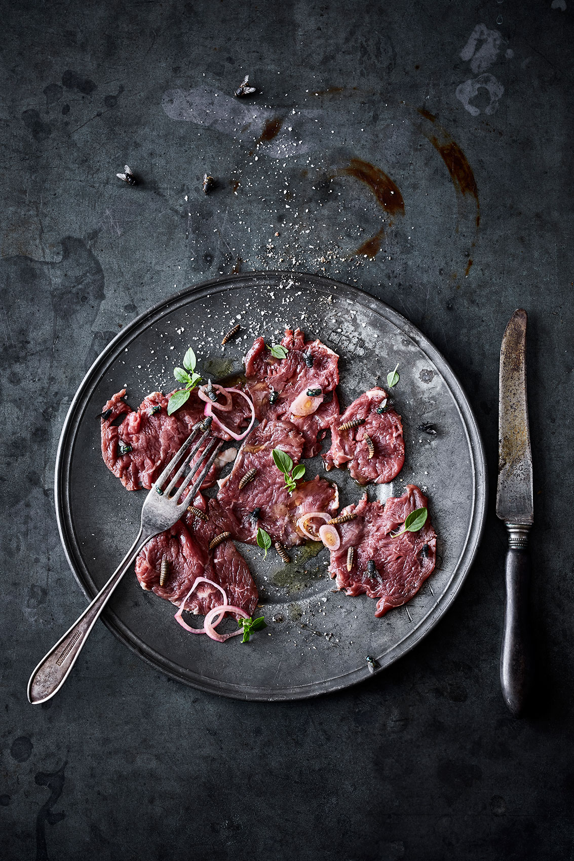 Beef & Fly Tartare • The Bug Project • Personal Work &  Food Photography