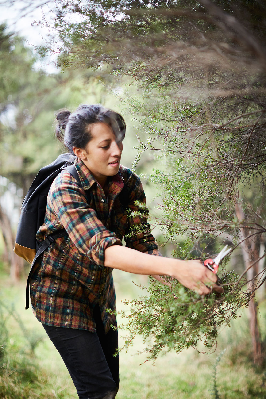 Hiakai • Picking Wild Tree Herbs in New Zealand Bush • Lifestyle & Hospitality Food Photography