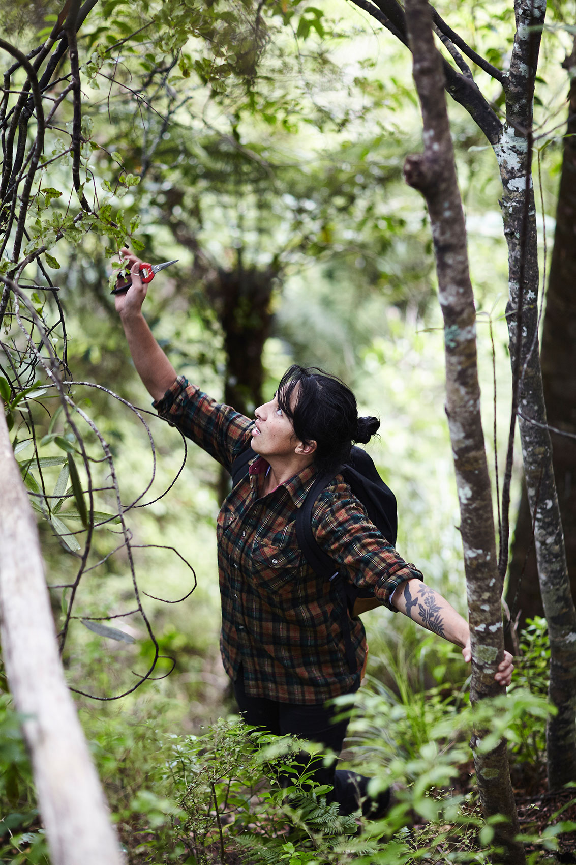 Hiakai • Gathering Foliage from Native Bush for New Zealand Restaurant • Lifestyle & Hospitality Food Photography