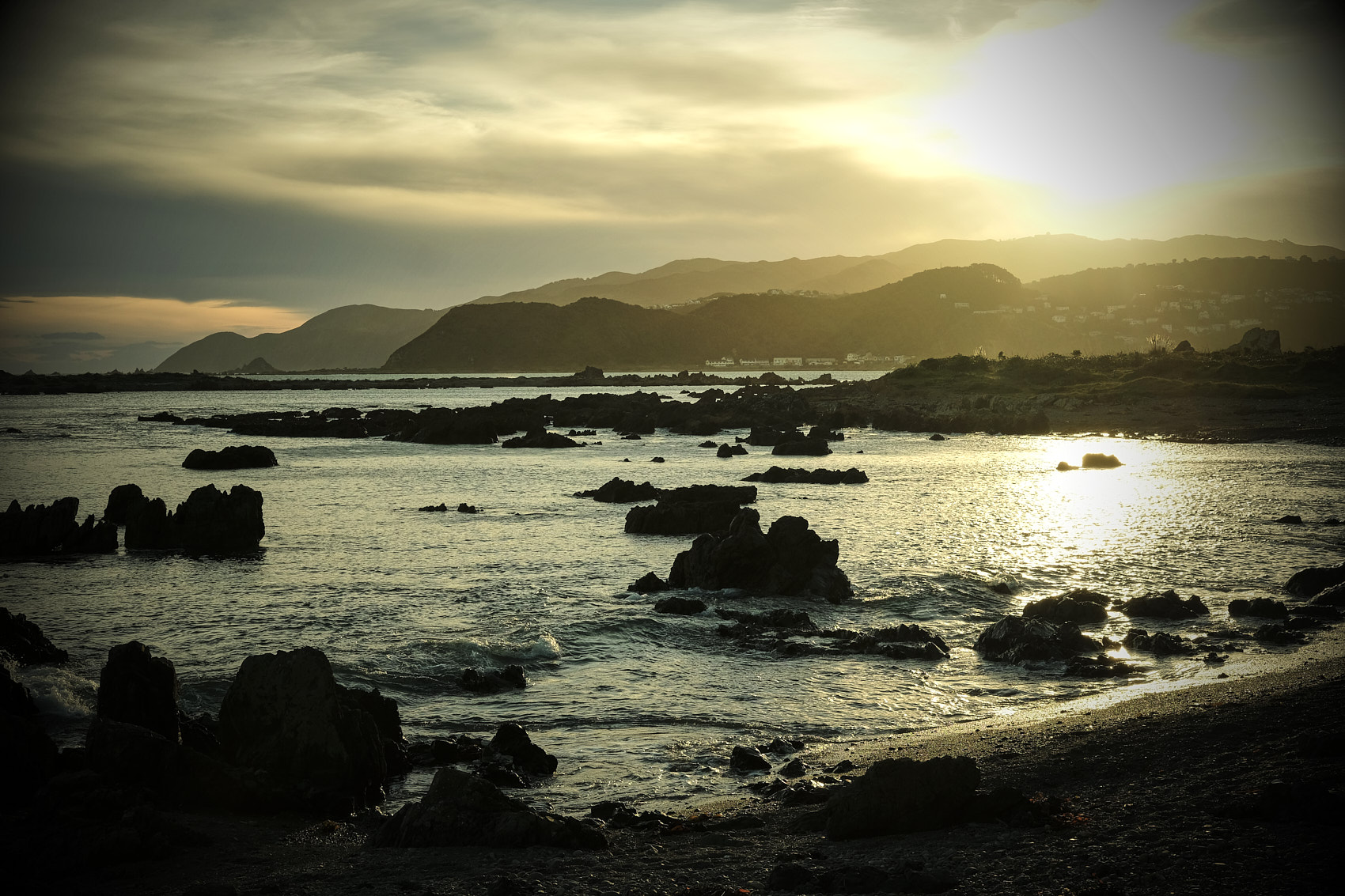 Hiakai • Foraging for Maori Cuisine on New Zealand Shortline • Lifestyle & Hospitality Food Photography