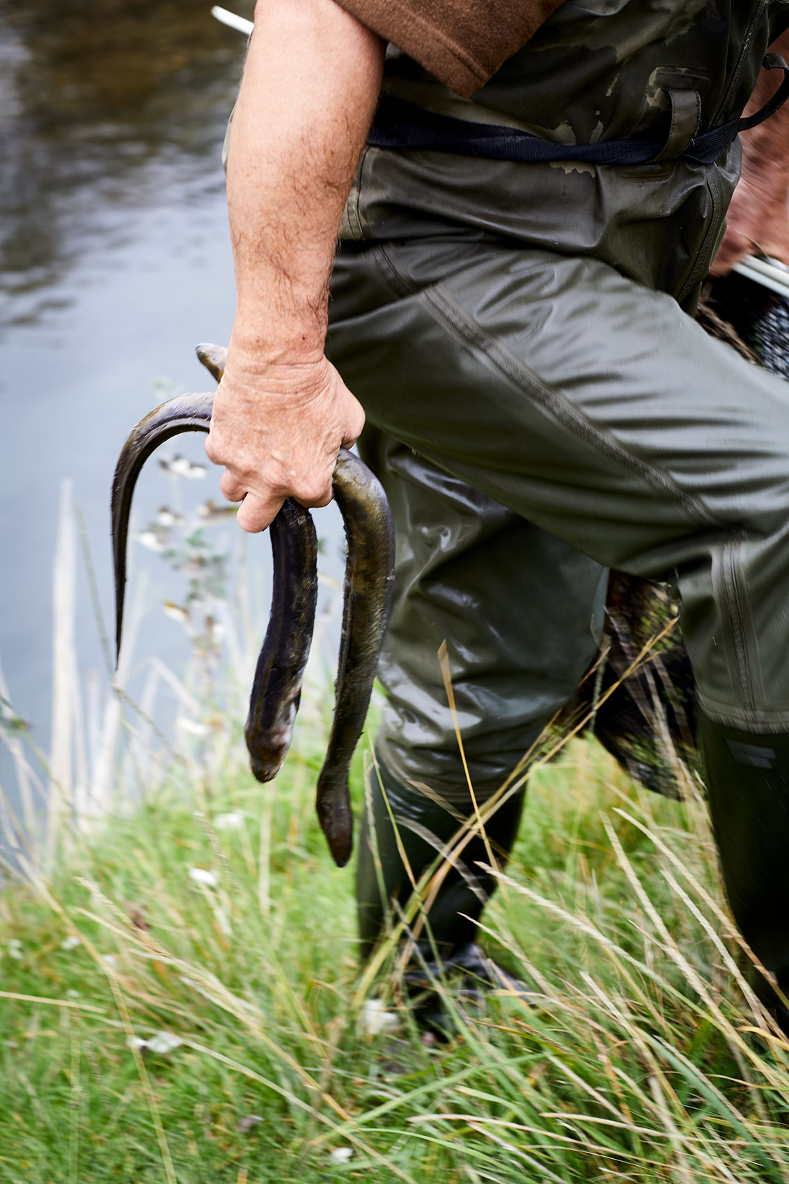Hiakai • Fresh New Zealand Eels for Modern Maori Cuisine • Lifestyle & Hospitality Food Photography