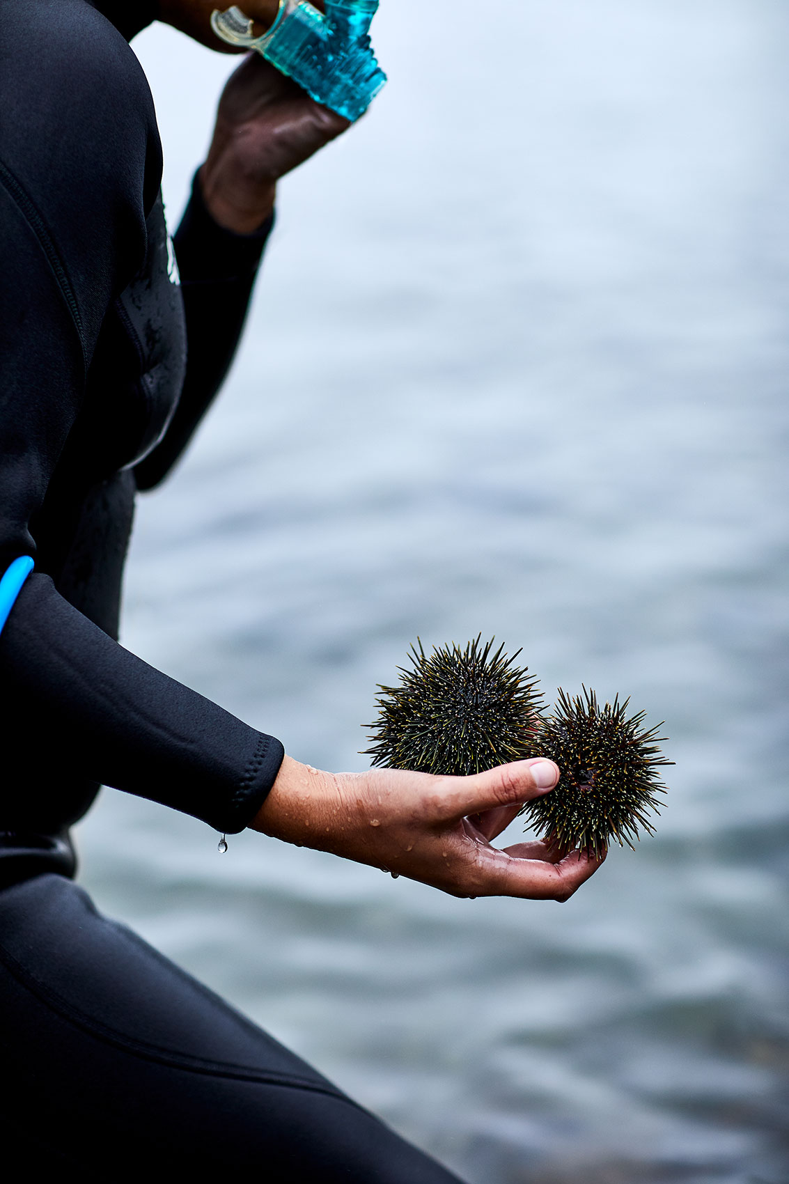 Hiakai • Diving for Kina Sea Urchins in New Zealand • Lifestyle & Hospitality Food Photography