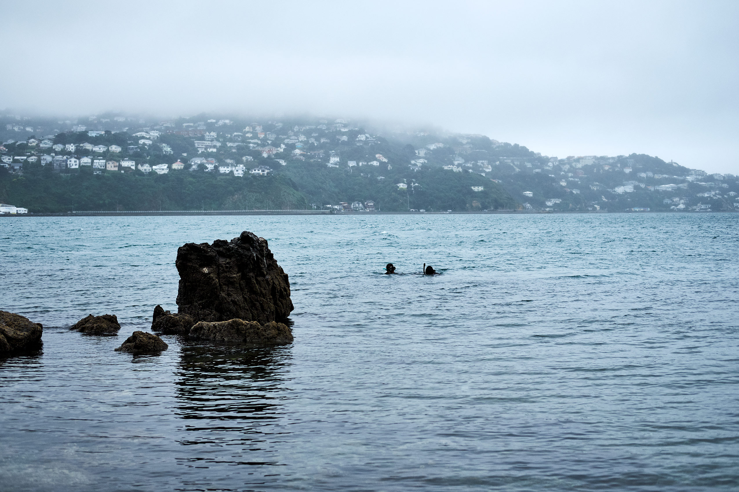 Hiakai • Gathering Kina Sea Urchins on New Zealand Coast • Lifestyle & Hospitality Food Photography