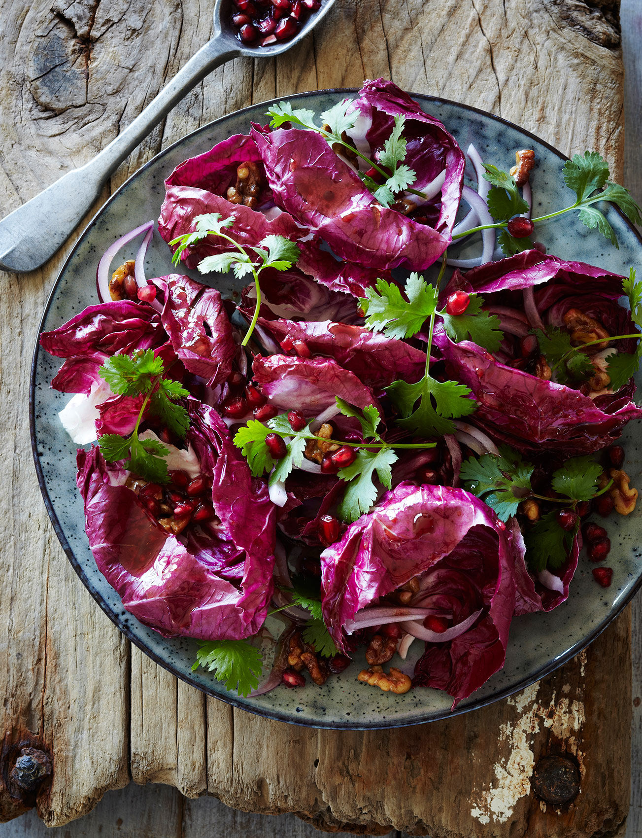 Simple Salads • Purple Radicchio with Pomegranate & Coriander on Wooden Counter • Cookbook & Editorial Food Photography