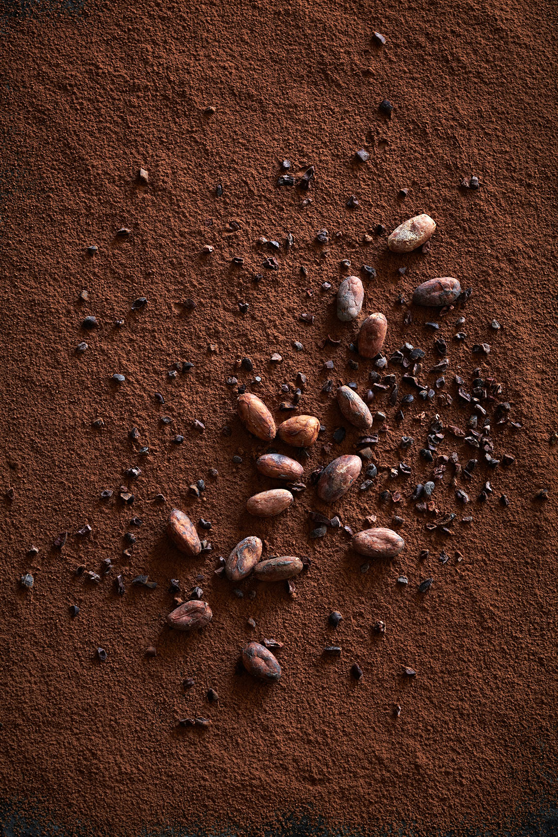 Spice Health Heroes • Whole & Crushed Cacao Beans on Cocoa Powder  • Cookbook & Editorial Food Photography