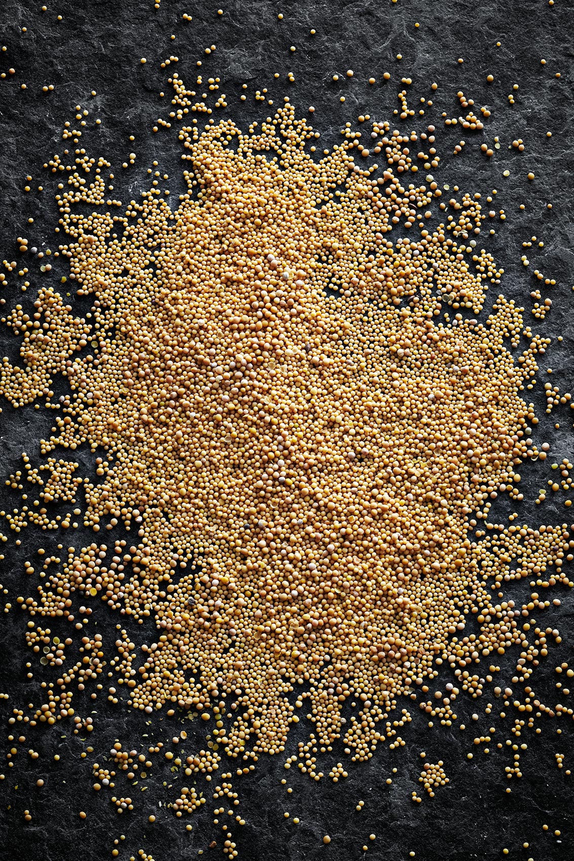 Spice Health Heroes • Mustard Seeds in Dancing Chef Natasha MacAller