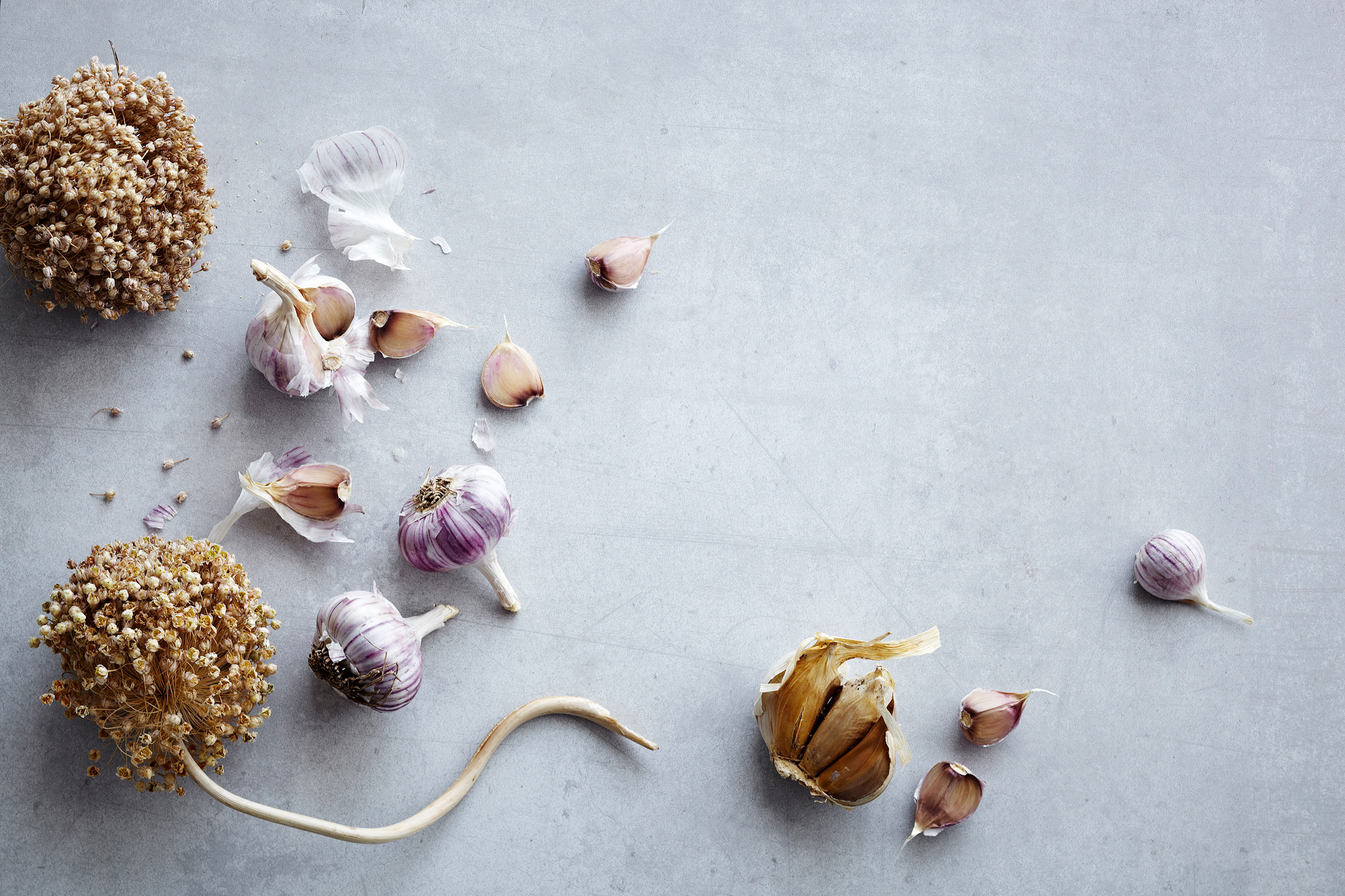 Spice Health Heroes • Purple Garlic and Dried Flowers on White Concrete Counter • Cookbook & Editorial Food Photography