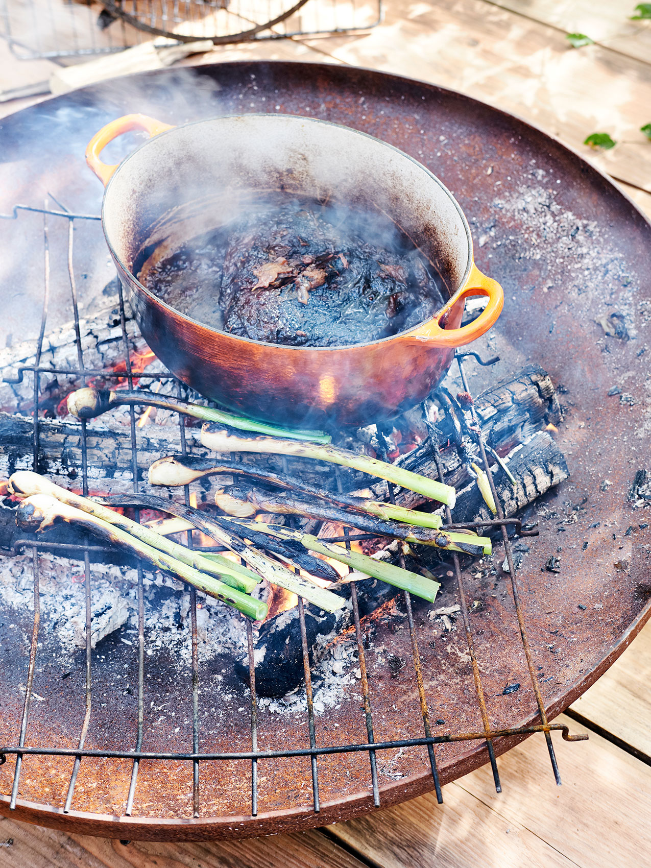 Stedsans in the Woods • Cooking Brisket on Fire Pit with Charred Wild Onions • Lifestyle & Editorial Food Photography