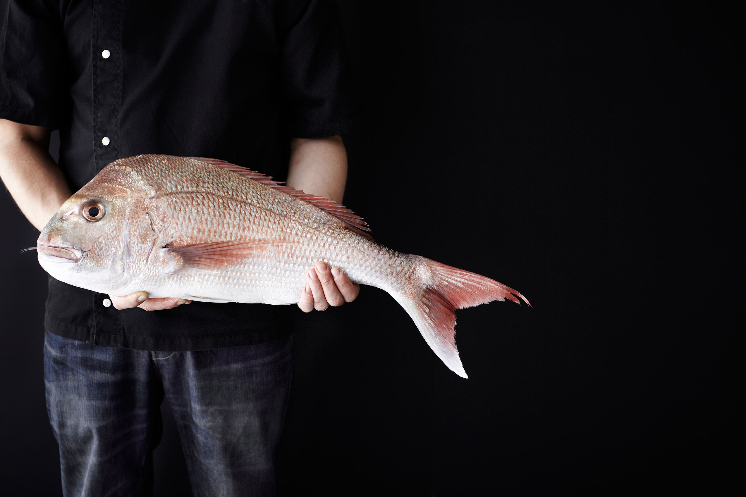 Southon Cooking • The Foodstore Fresh Catch New Zealand Snapper • Hospitality & Editorial Food Photography