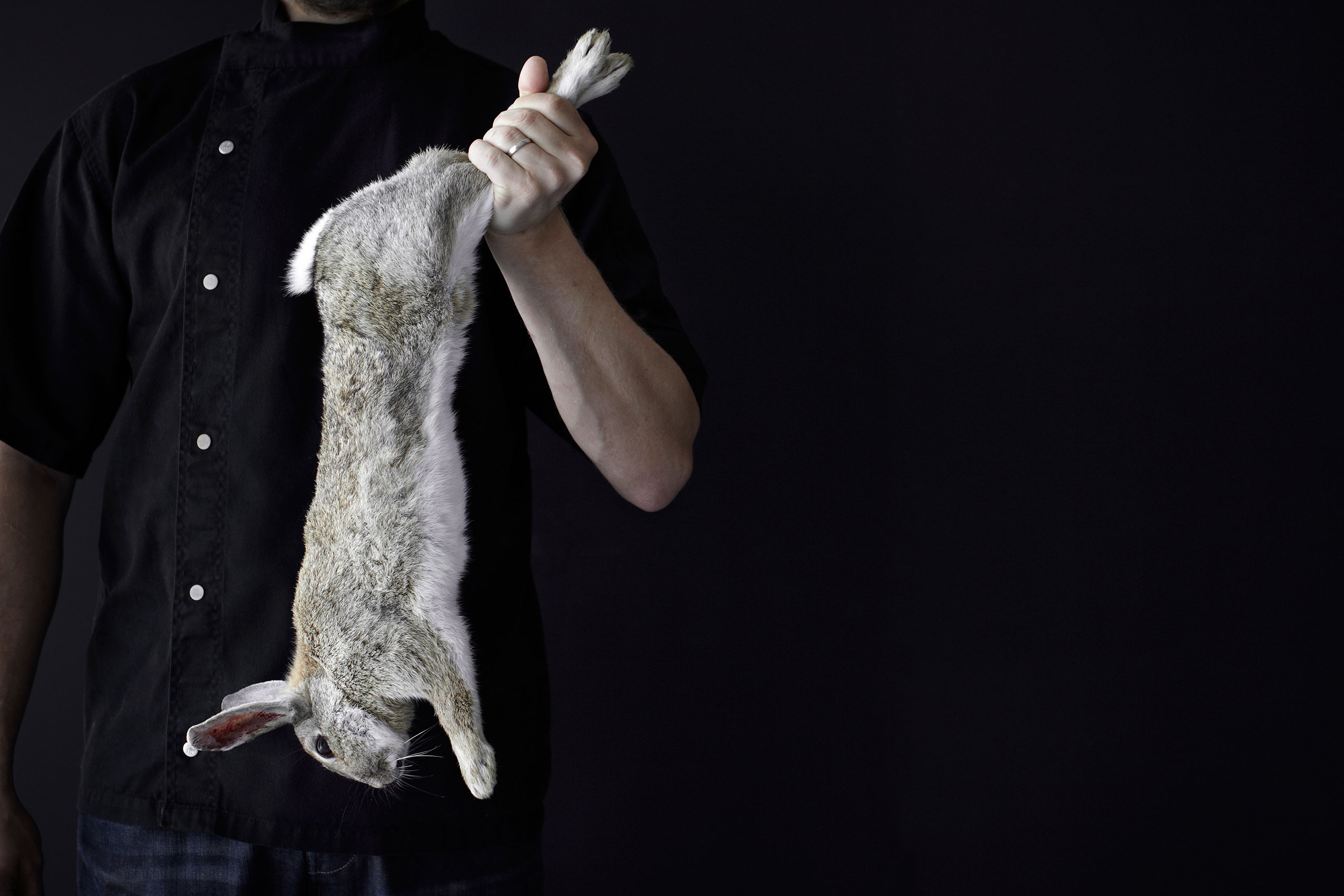 Rabbit • Southon Cooking • Editorial & Advertising Food Photography