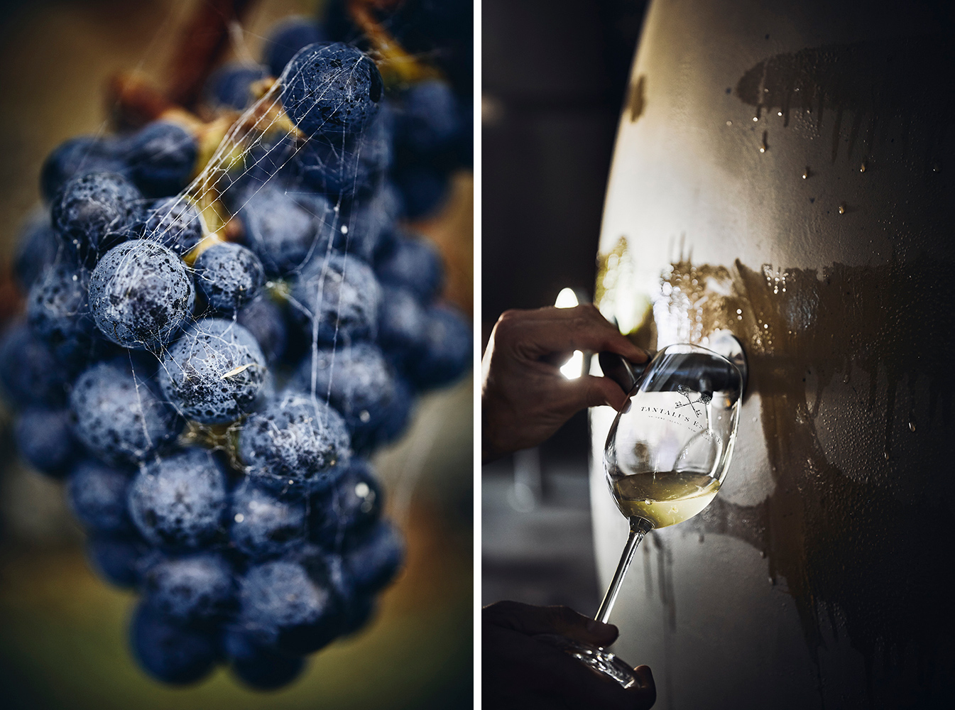 Tantalus Vineyards Grapes・Pink Lady Food Photographer of the Year 2021 Commended Award・Editorial & Advertising Food Photography